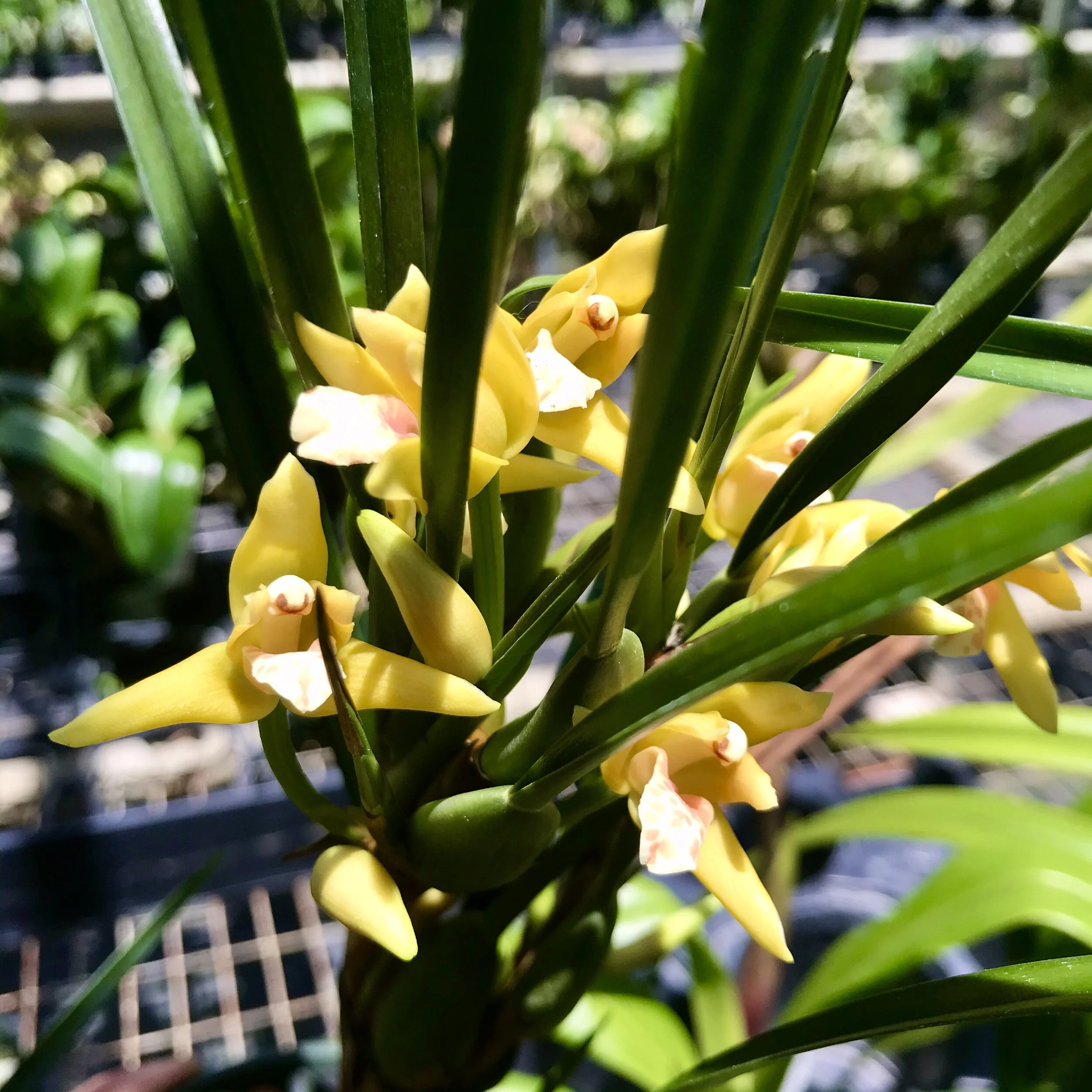 DD899ABE-DDD1-4236-85BD-BDF44F244582