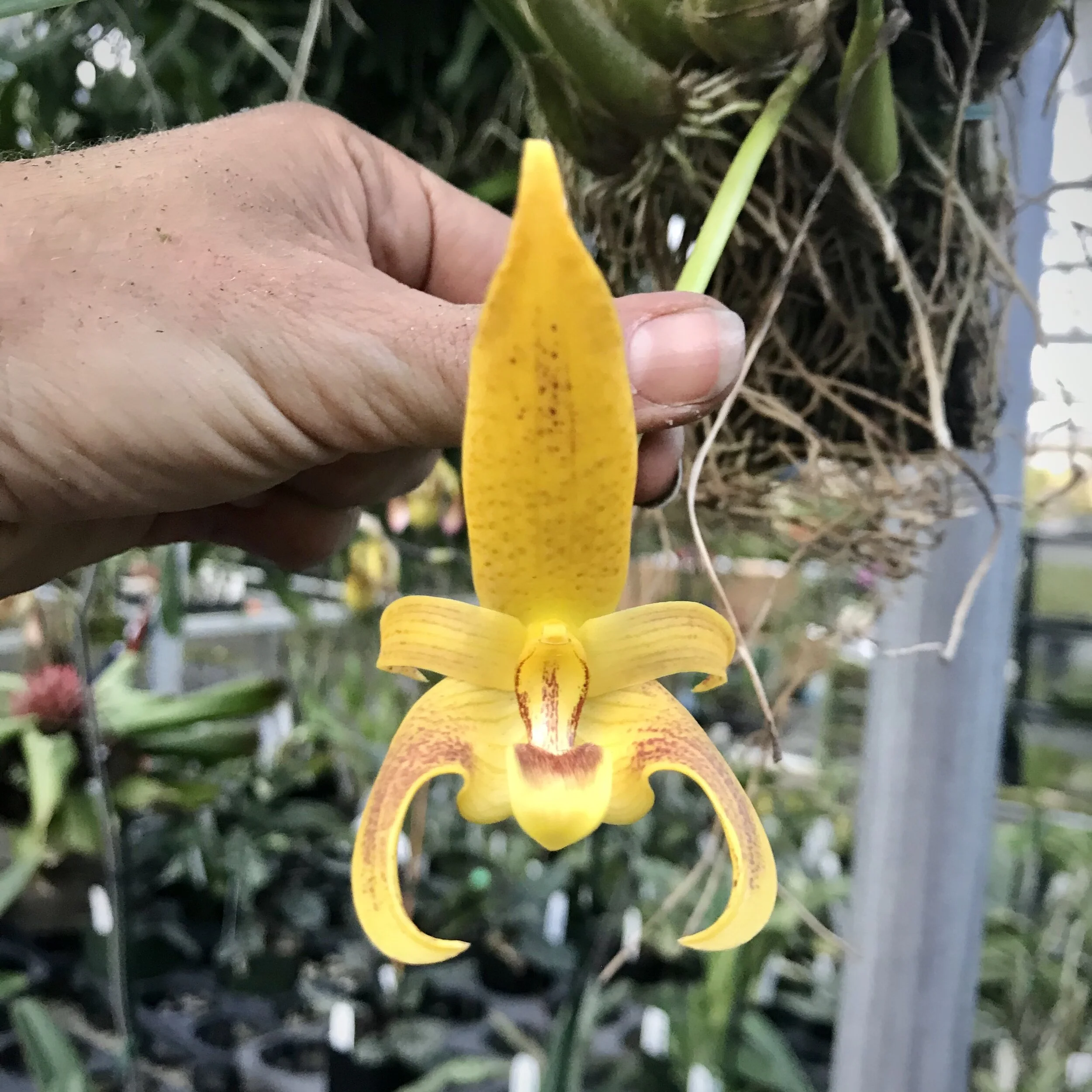 53226AC3-6B13-4674-96E8-C6BF5AC7FF50