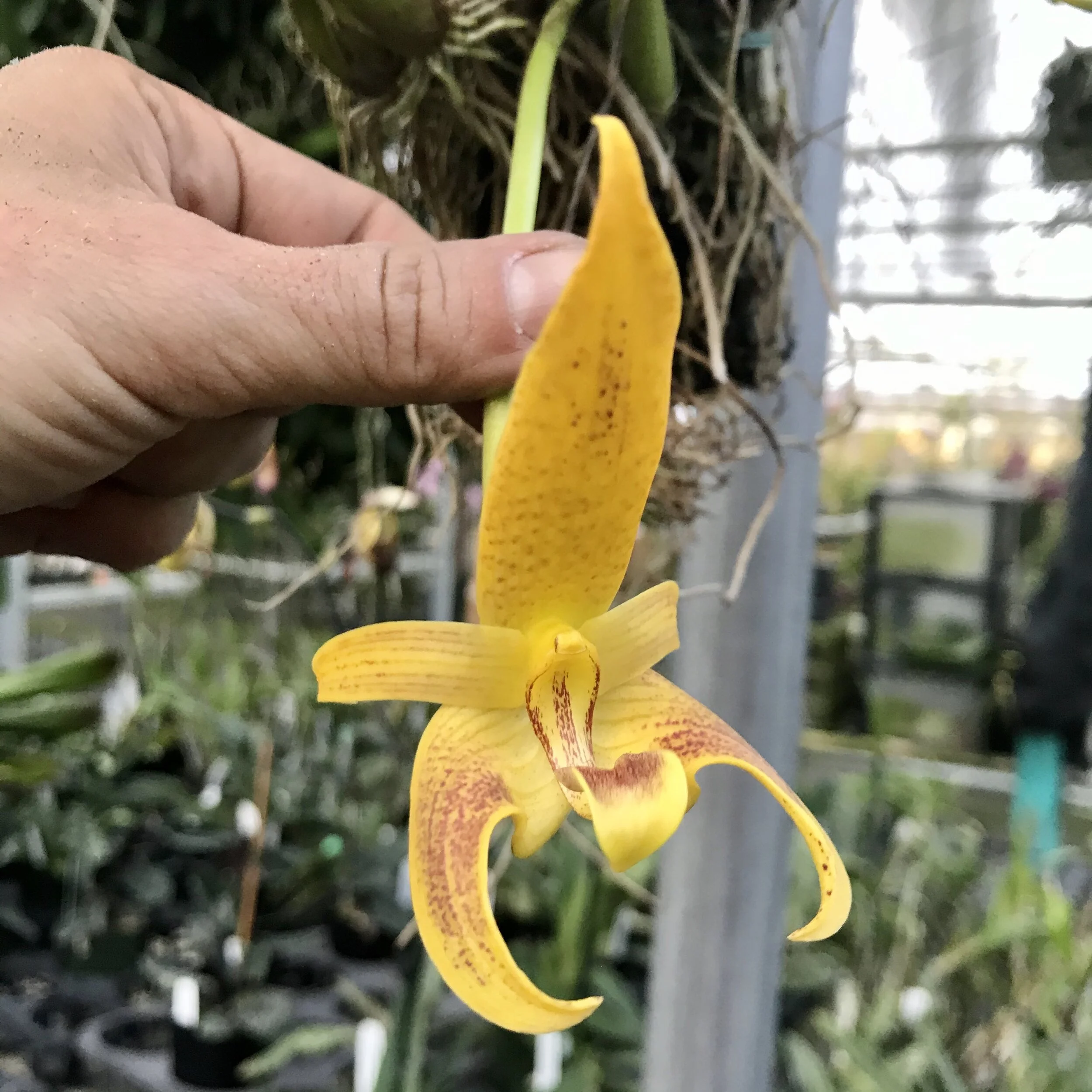 BAD36AE2-0BFE-46FE-9E0C-D16A5E5964F8