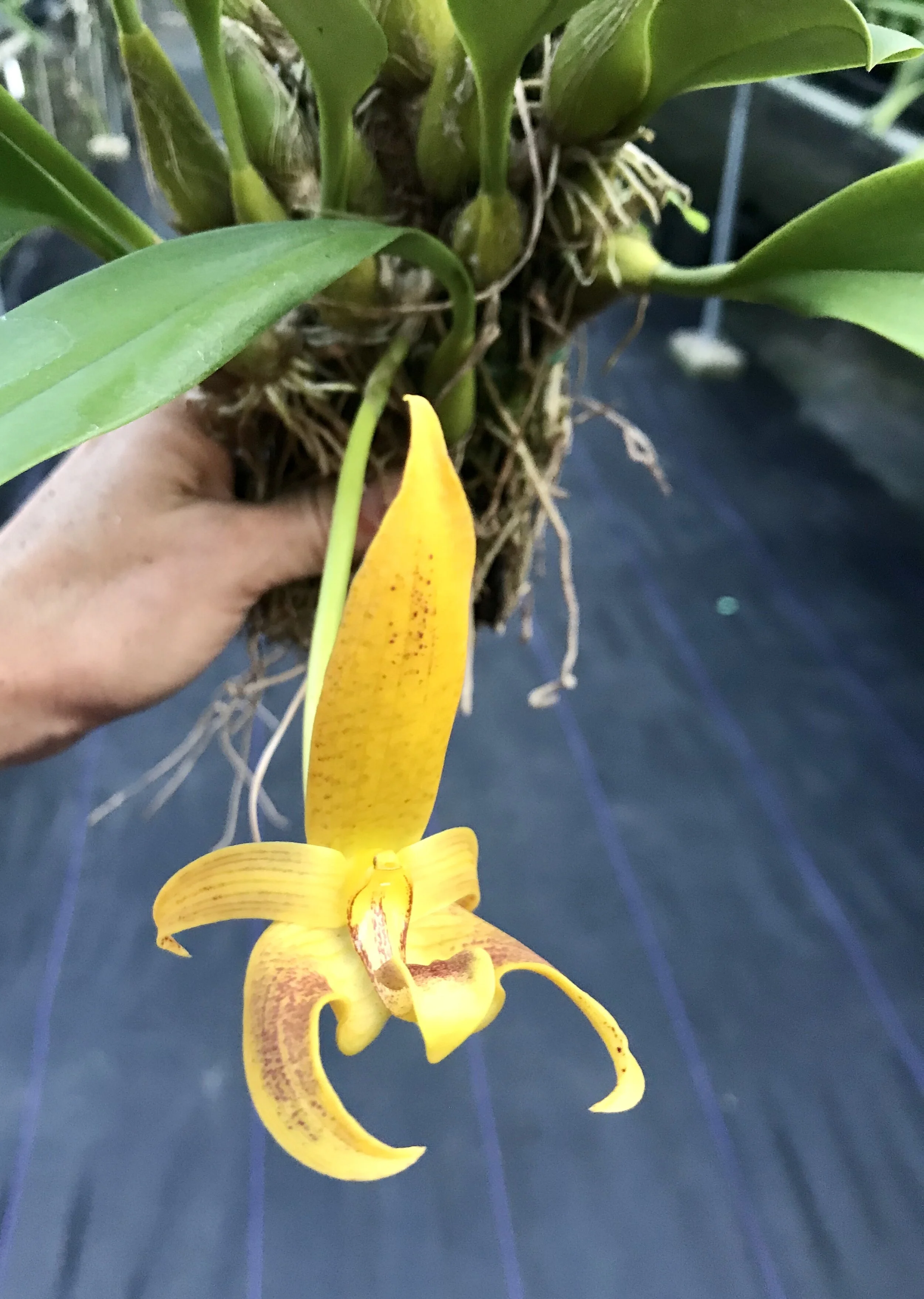 E8F0DDCB-C42B-4A8F-ABFD-C216263D71B6