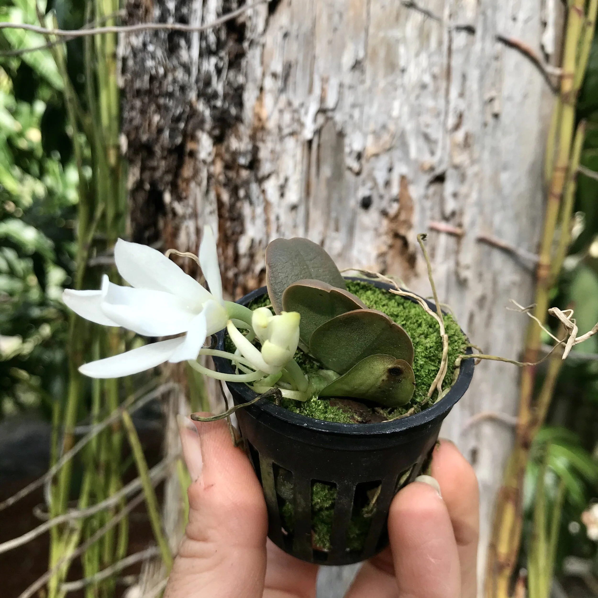 5385DB28-B66E-4CB4-AD40-FED07F333261