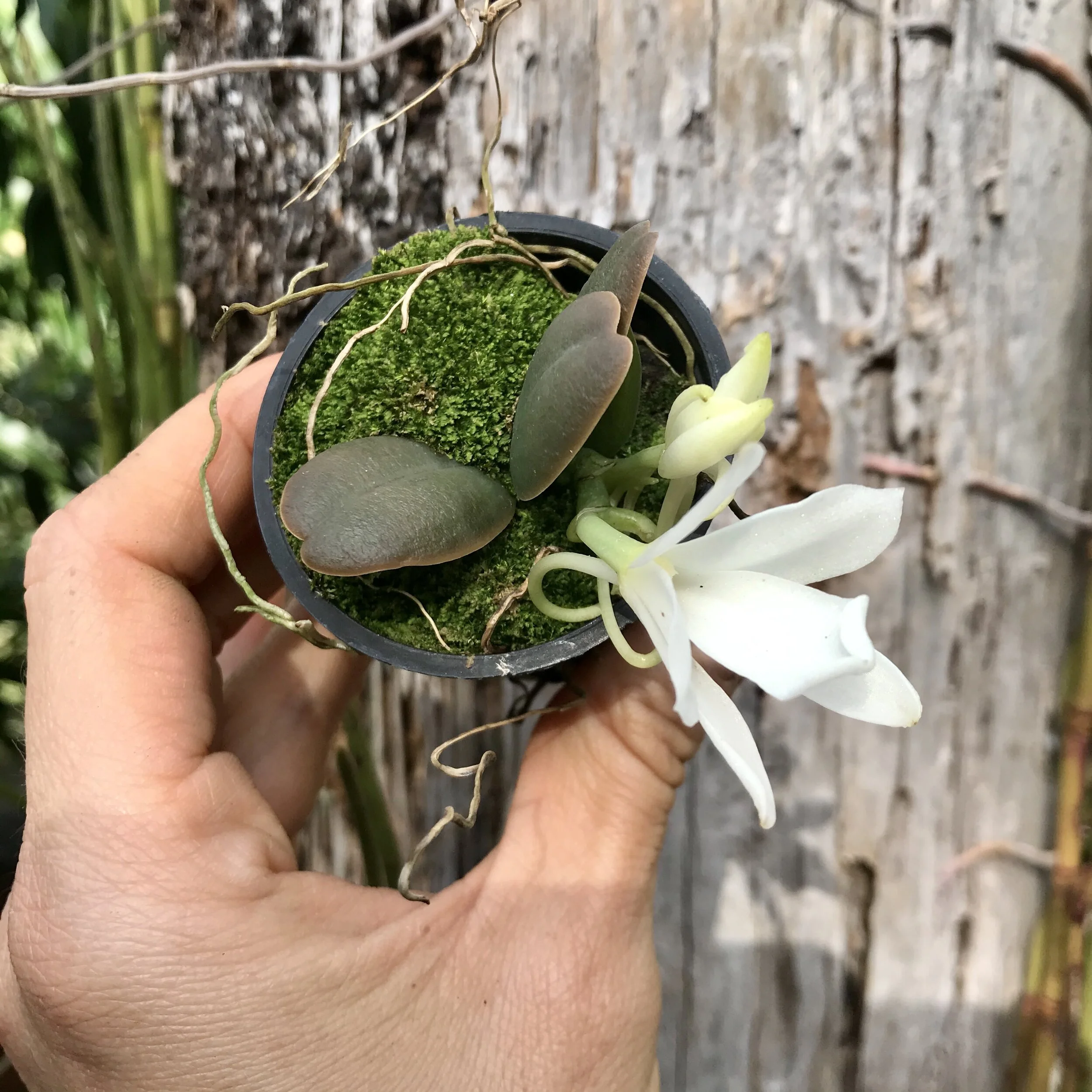 CEB19C9F-362A-4DB6-9B2E-F7E894304DA8