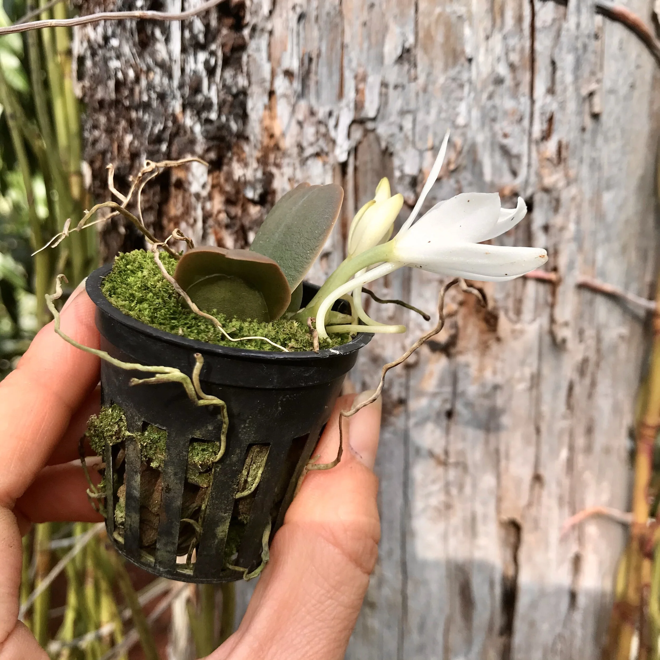 77FCE46C-9340-486C-9620-2F8E2F797F77