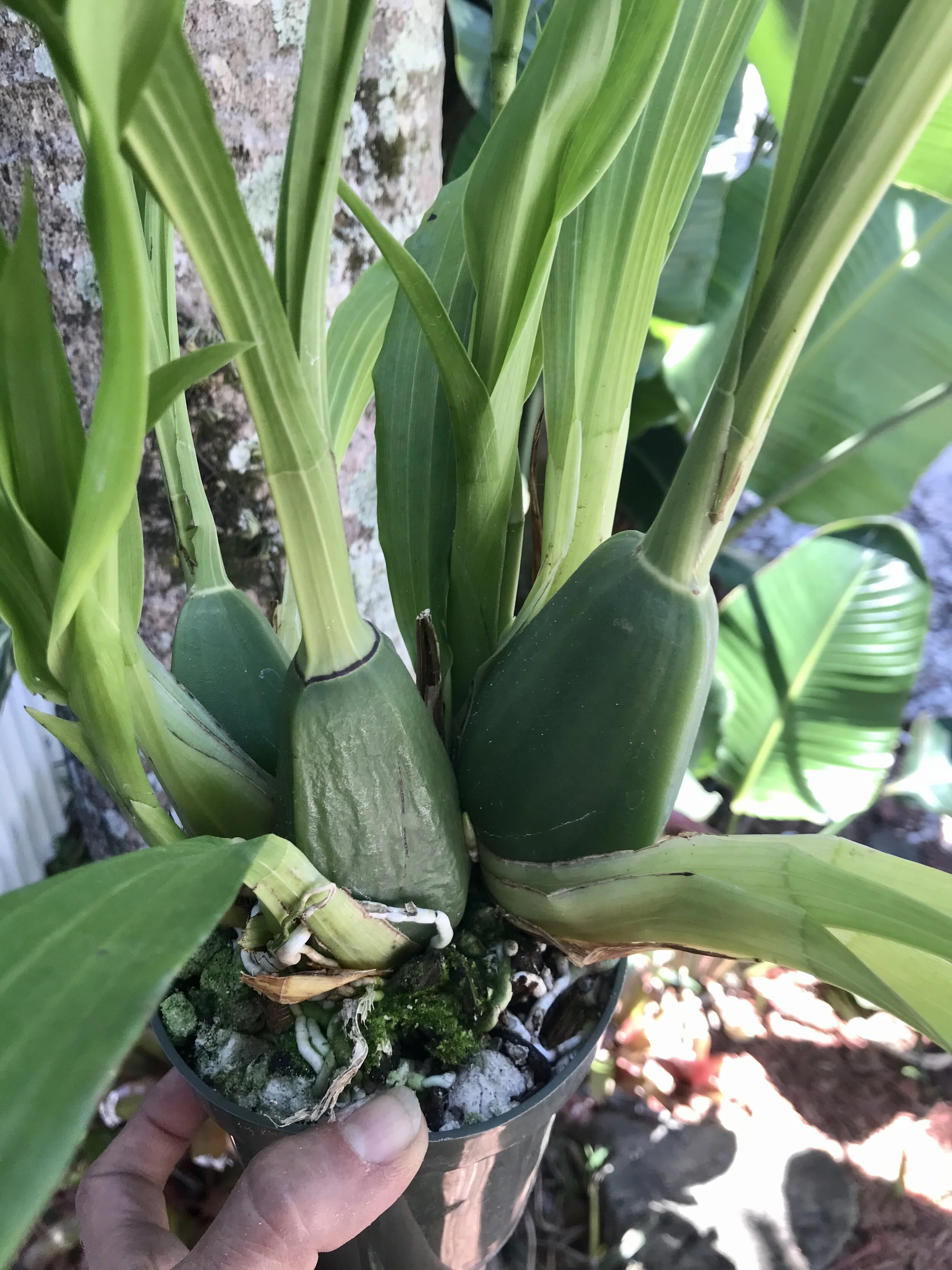 C89F9386-BCEF-4CD0-866C-6A7C3267549D