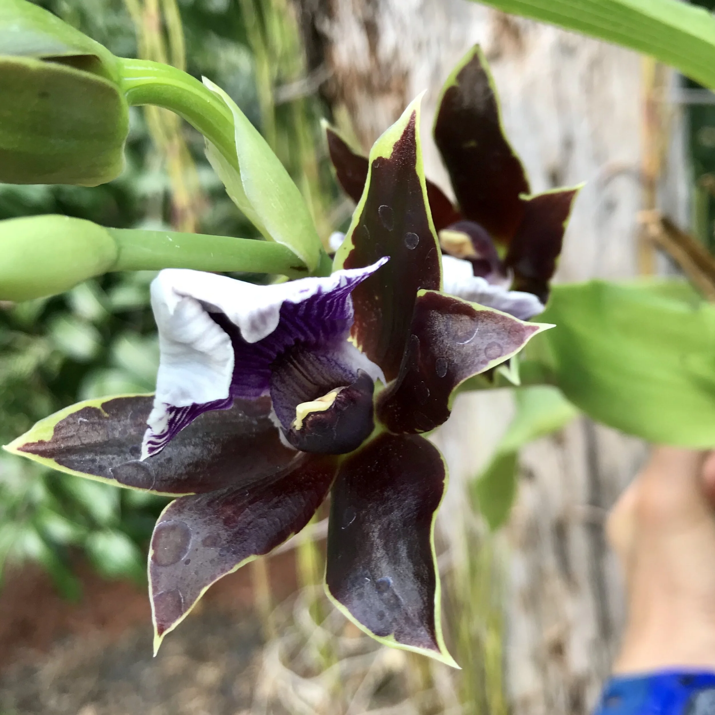 9CEE877E-C24A-4F58-80EE-96195B2961DB