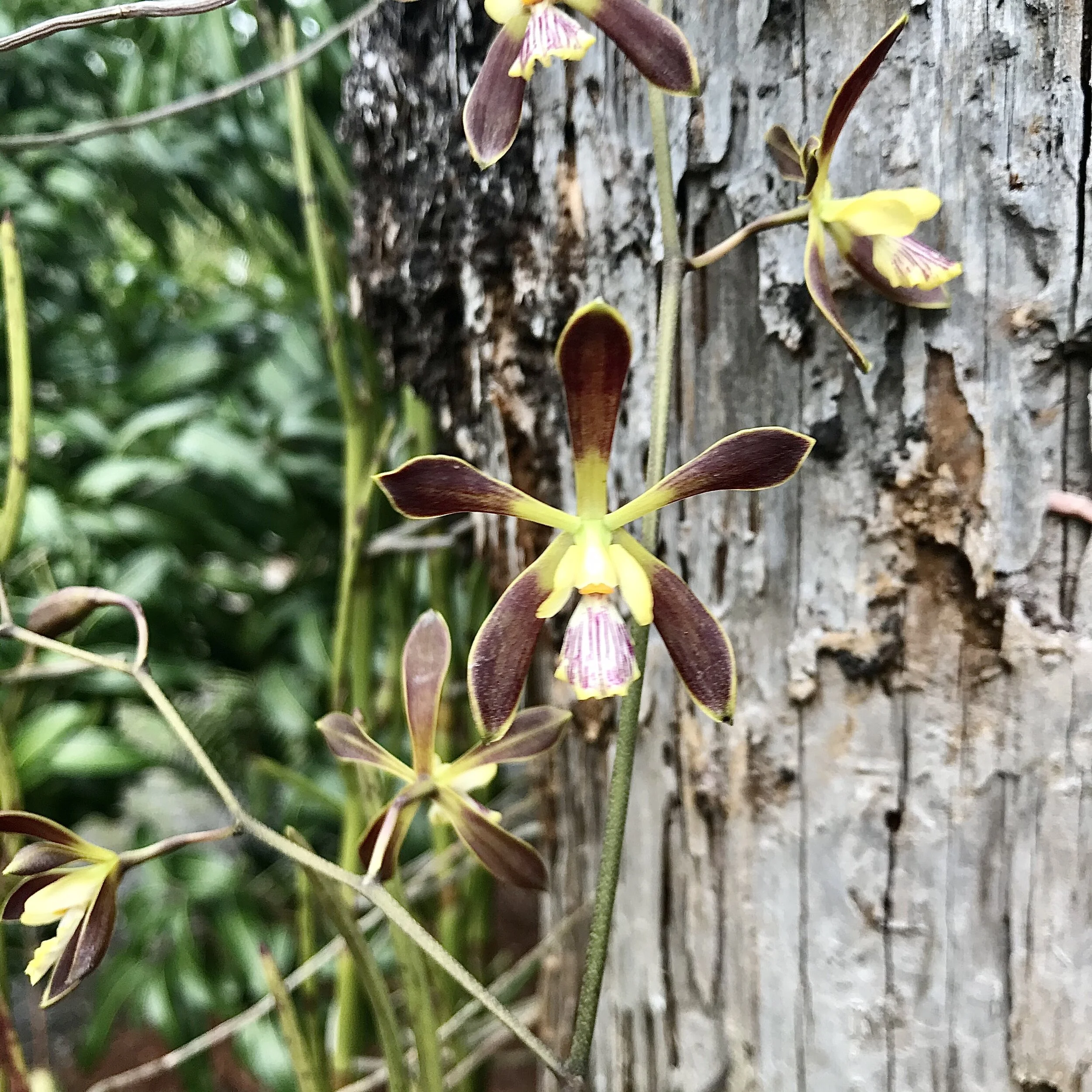 7F982235-EEBB-4C7B-A738-8F5898C63DD9