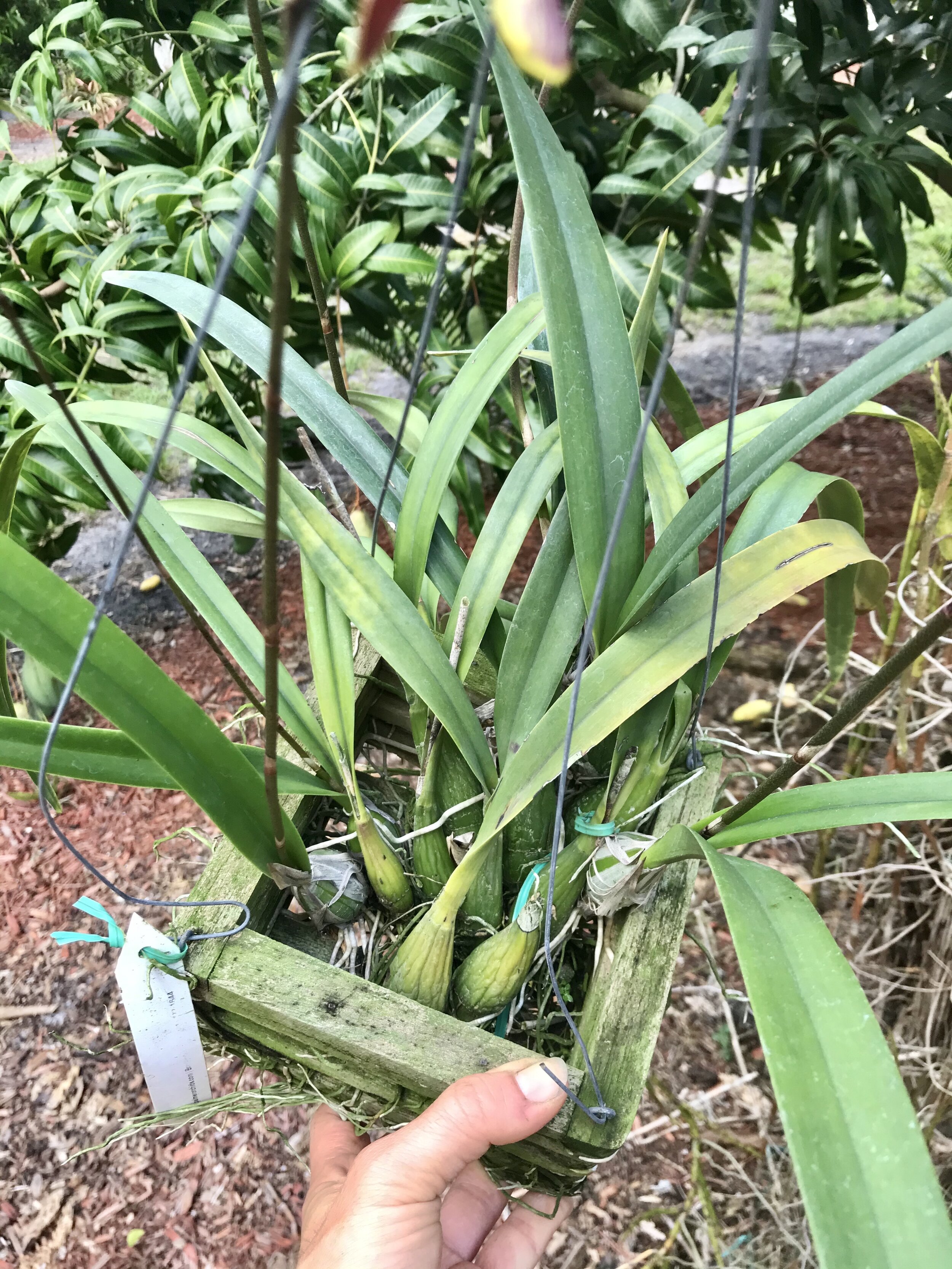 697C7AA1-98D8-4686-9B5D-C64DAE40DBE0