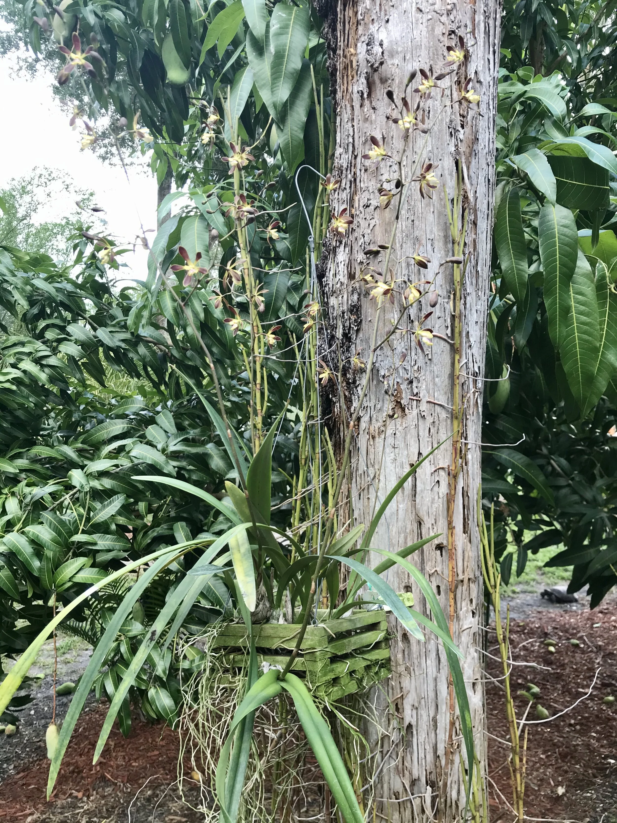 2F1172F8-18C8-4CB2-BD4D-C4DB786D25E6