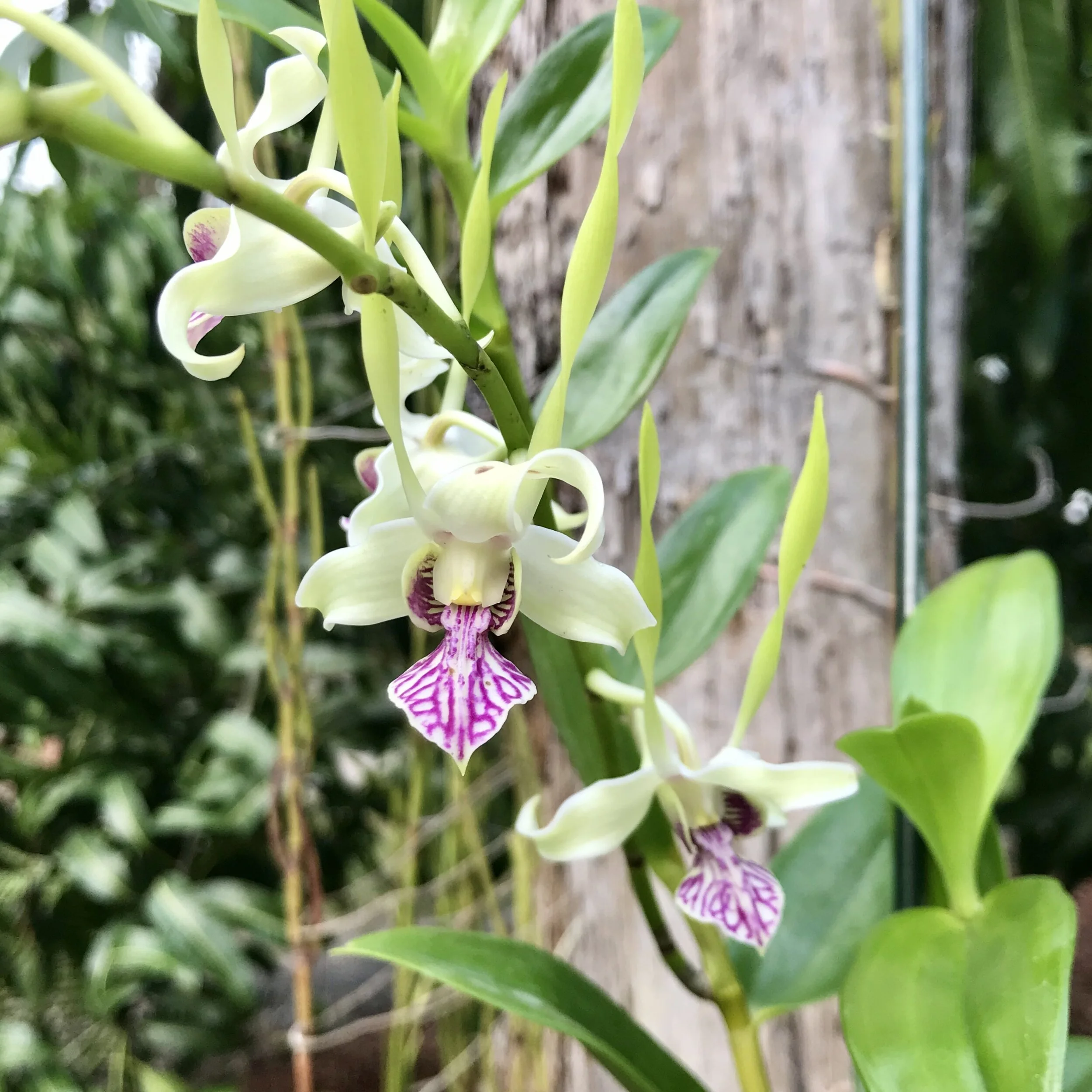 91632631-7209-412C-89FD-FCA205506CFD