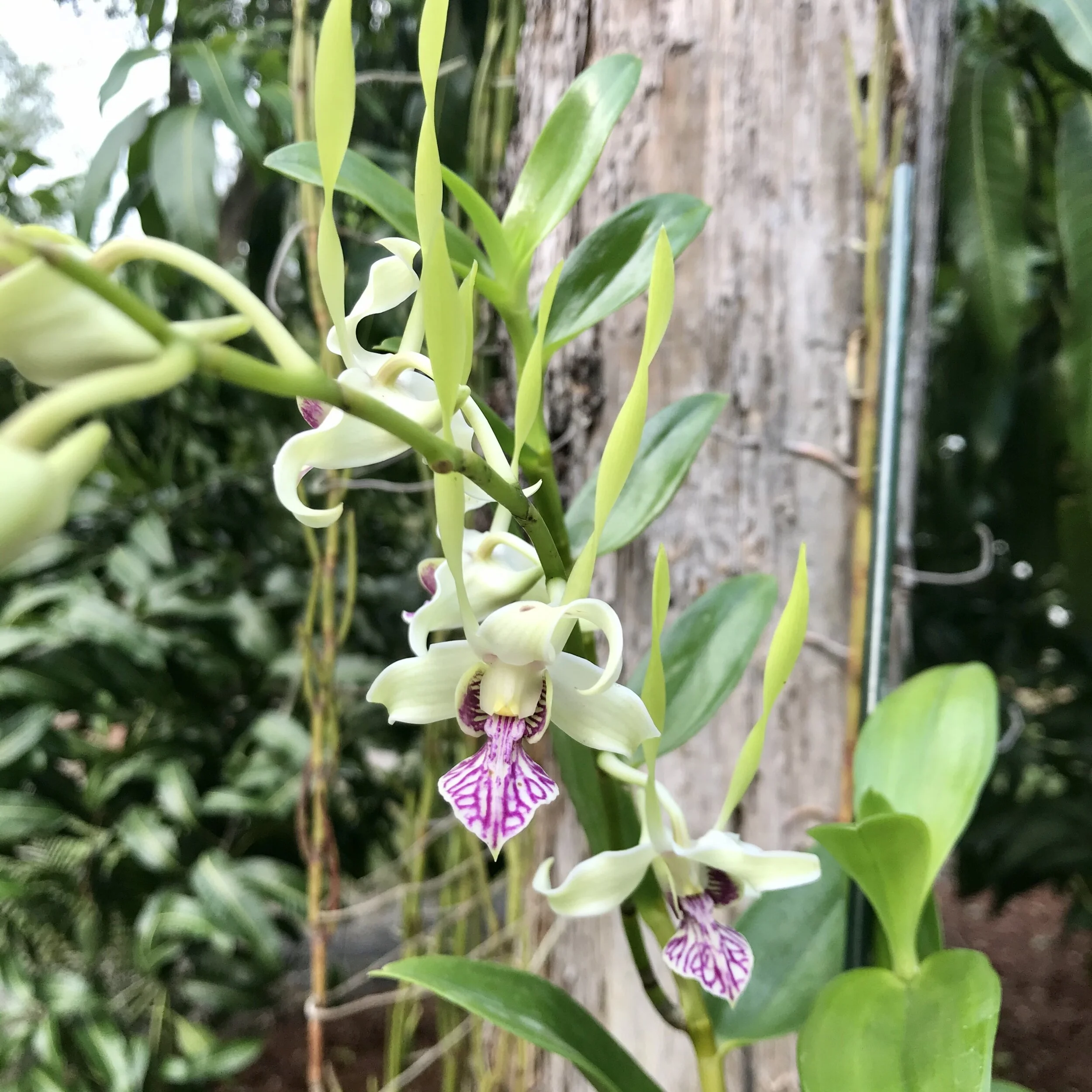 05055B95-1B1E-47C7-87A2-ECF447DFBA31