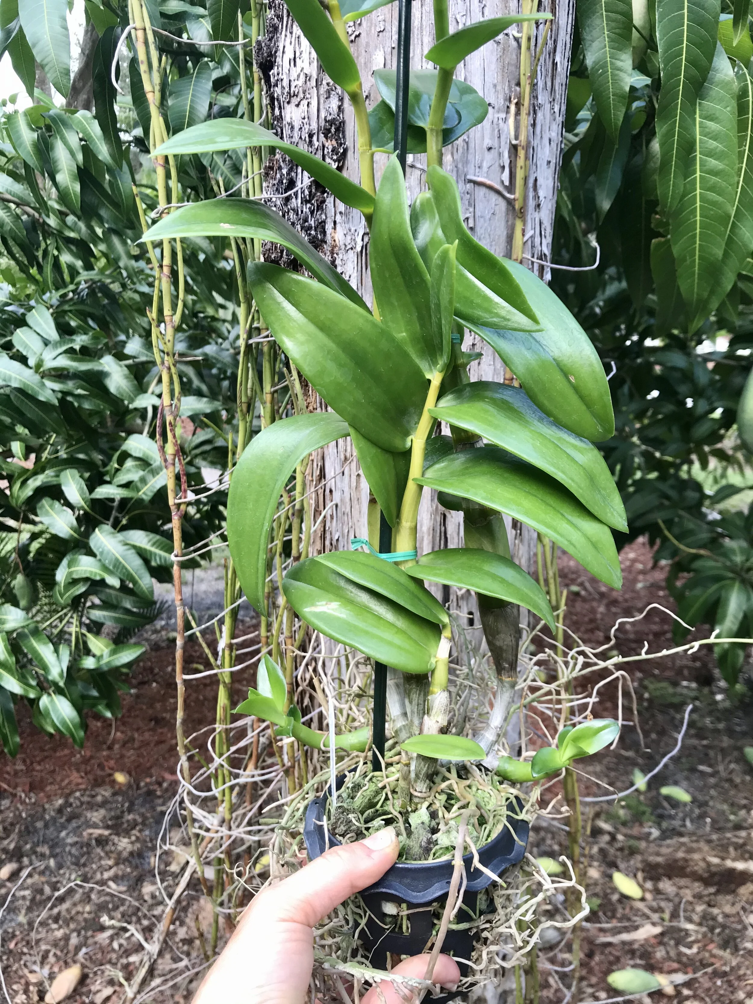 EE133817-90BC-4D6A-BFF4-943BE329EE35