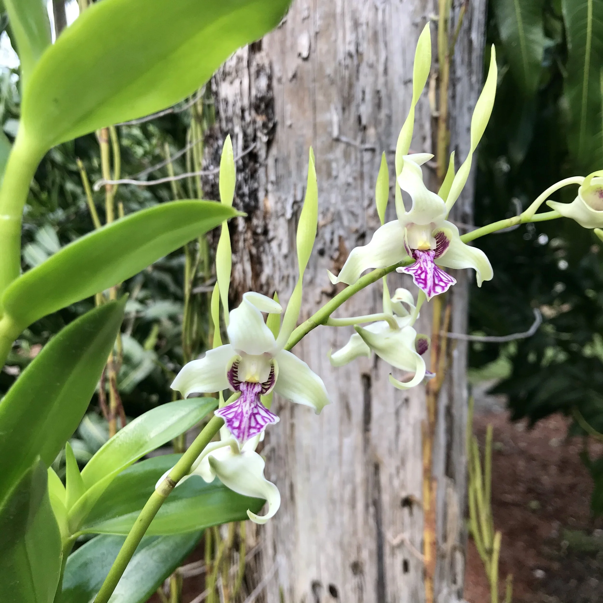 5274D9D7-C73B-49CF-B4E4-016955EE9DE5