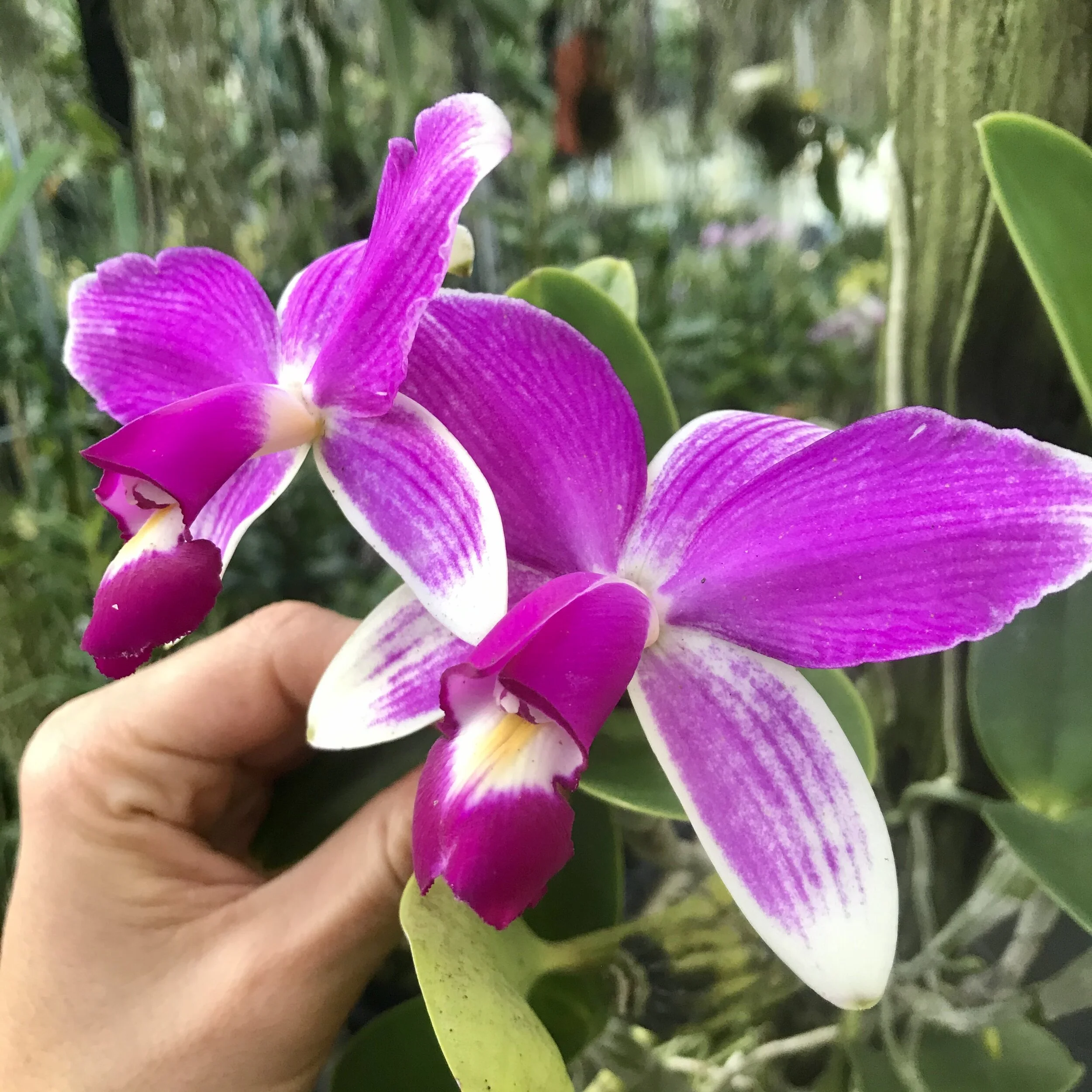 7949A77E-EEA1-4C25-9A3C-0C4D01C22947