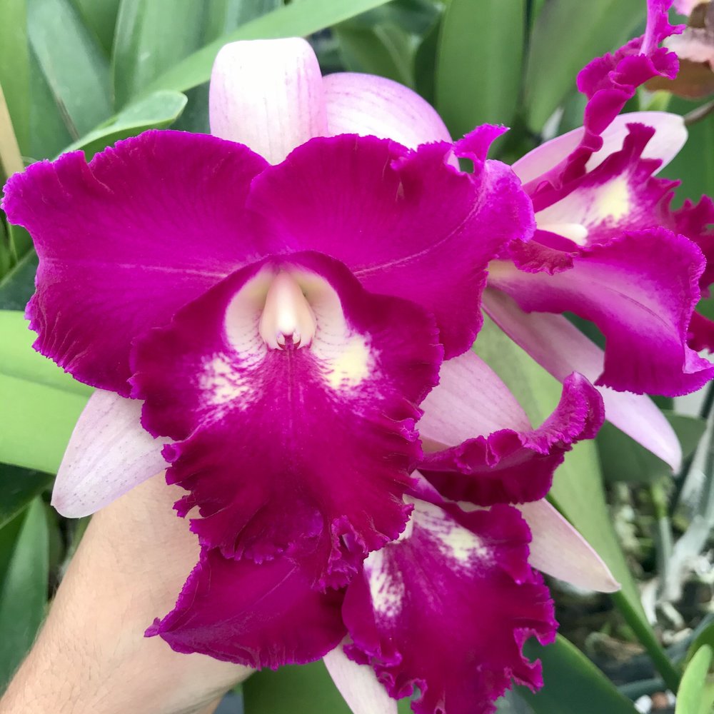 E33EEF15-2924-4E3A-A4A5-