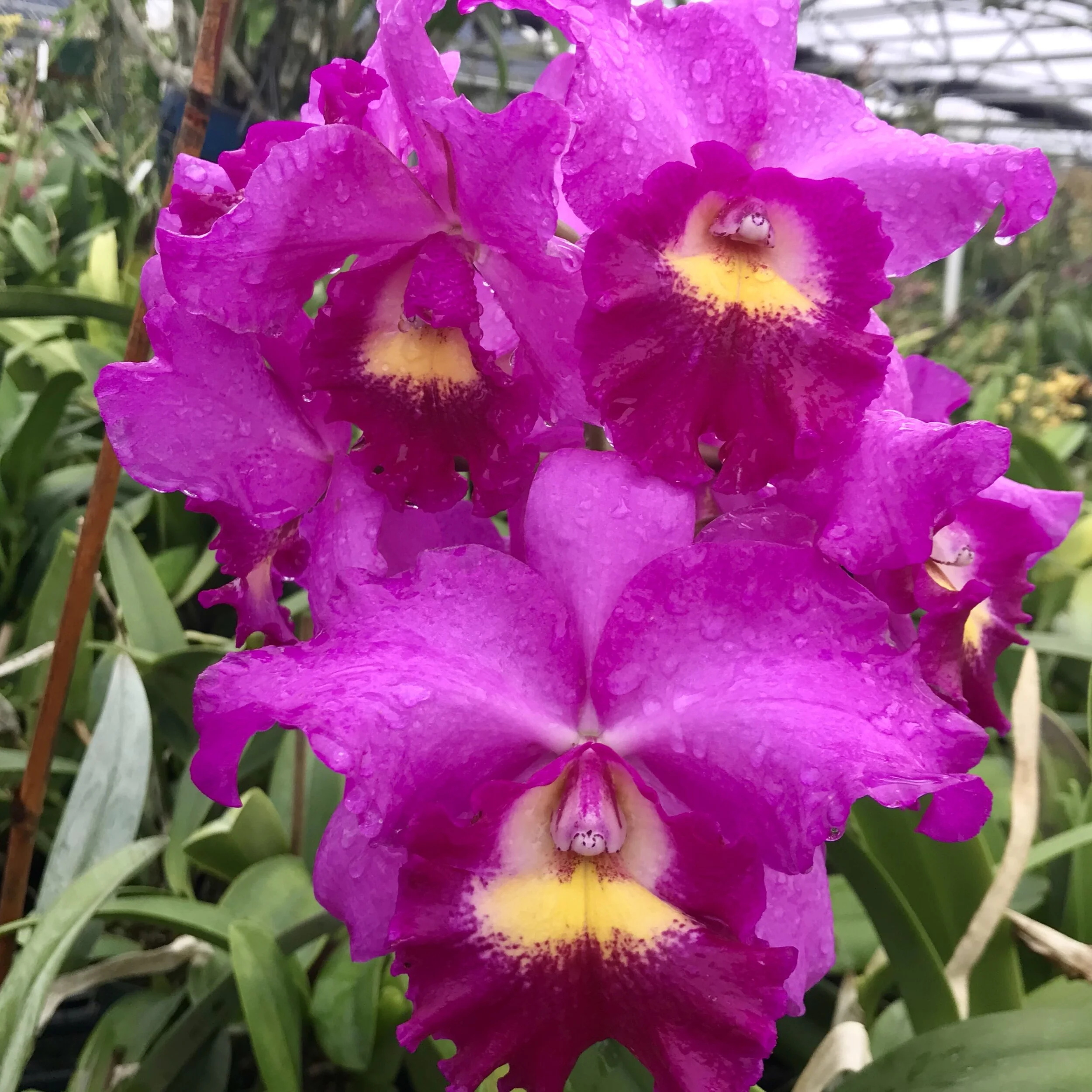 3EA37B0F-8828-4015-91F4-1B5467EFEB42