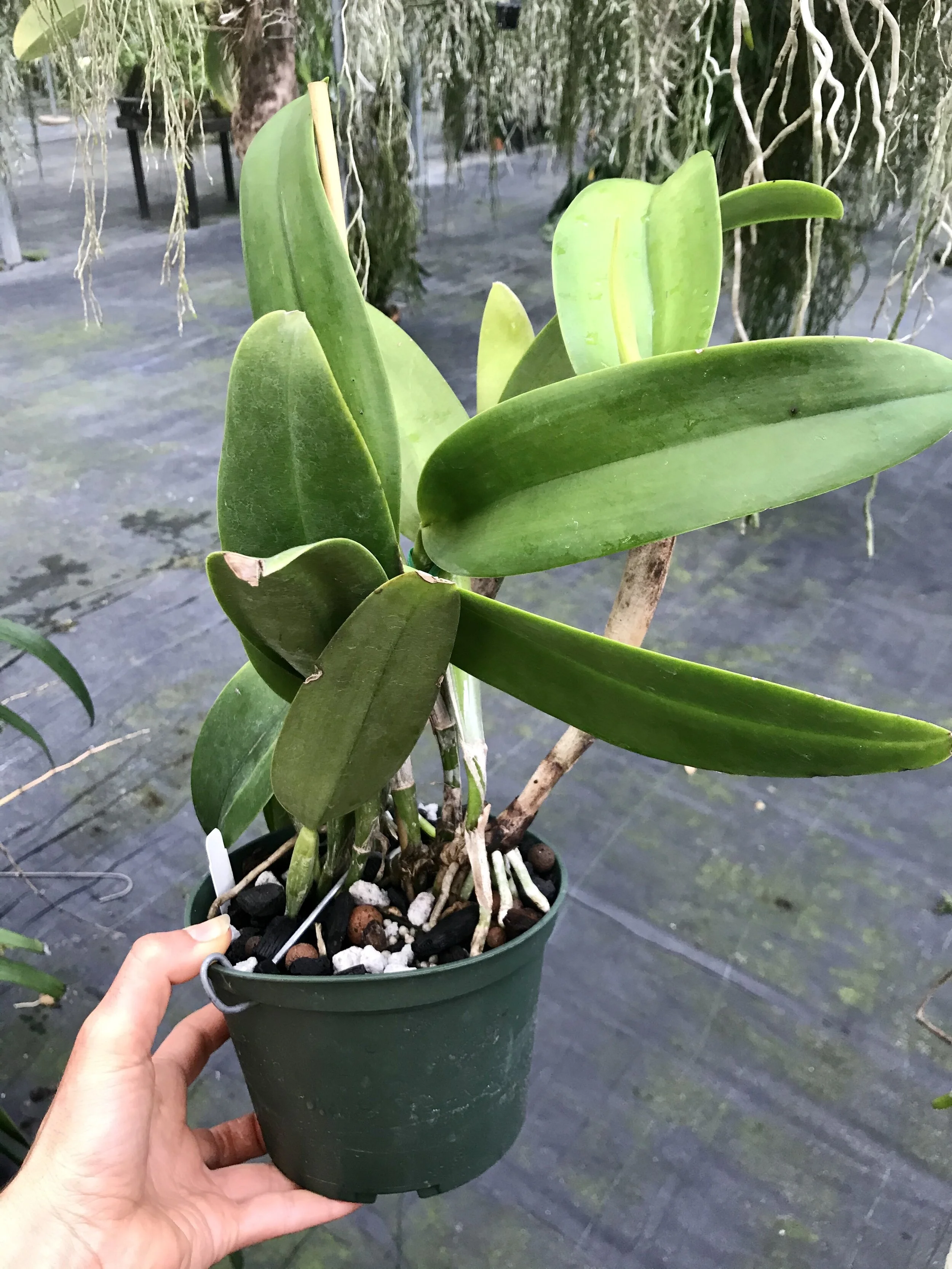 265ECB30-905E-44C0-A853-8E733C78C750