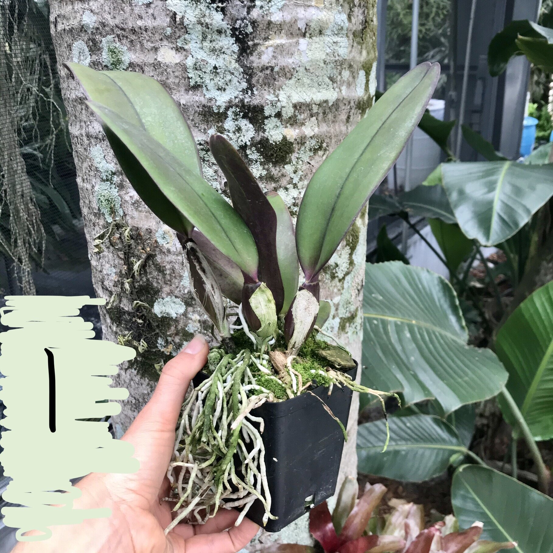 1E7BABF7-0408-4D60-B4B8-AC9A11FB0543