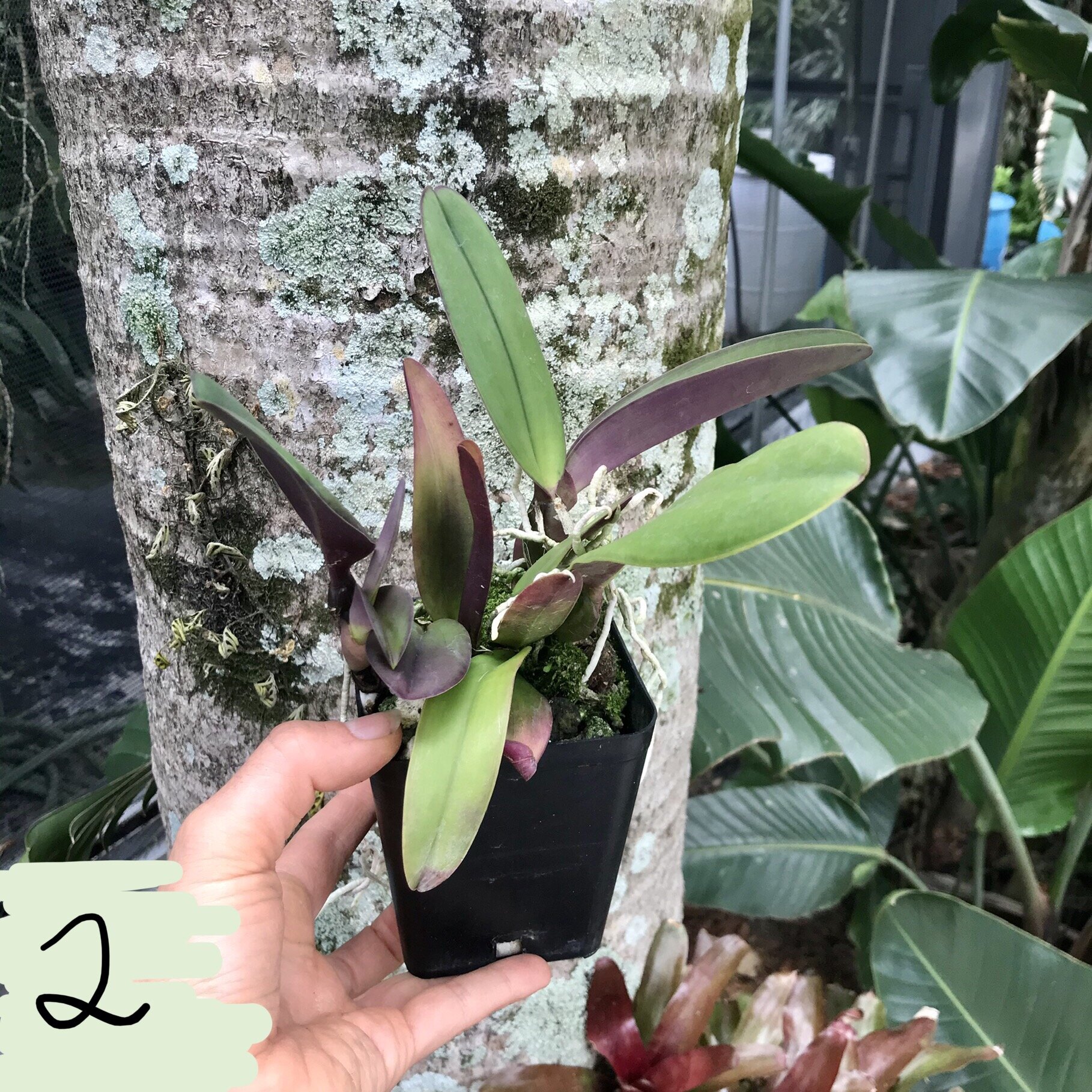 B1C21C90-14C1-48B9-9427-CEDD53117BAF