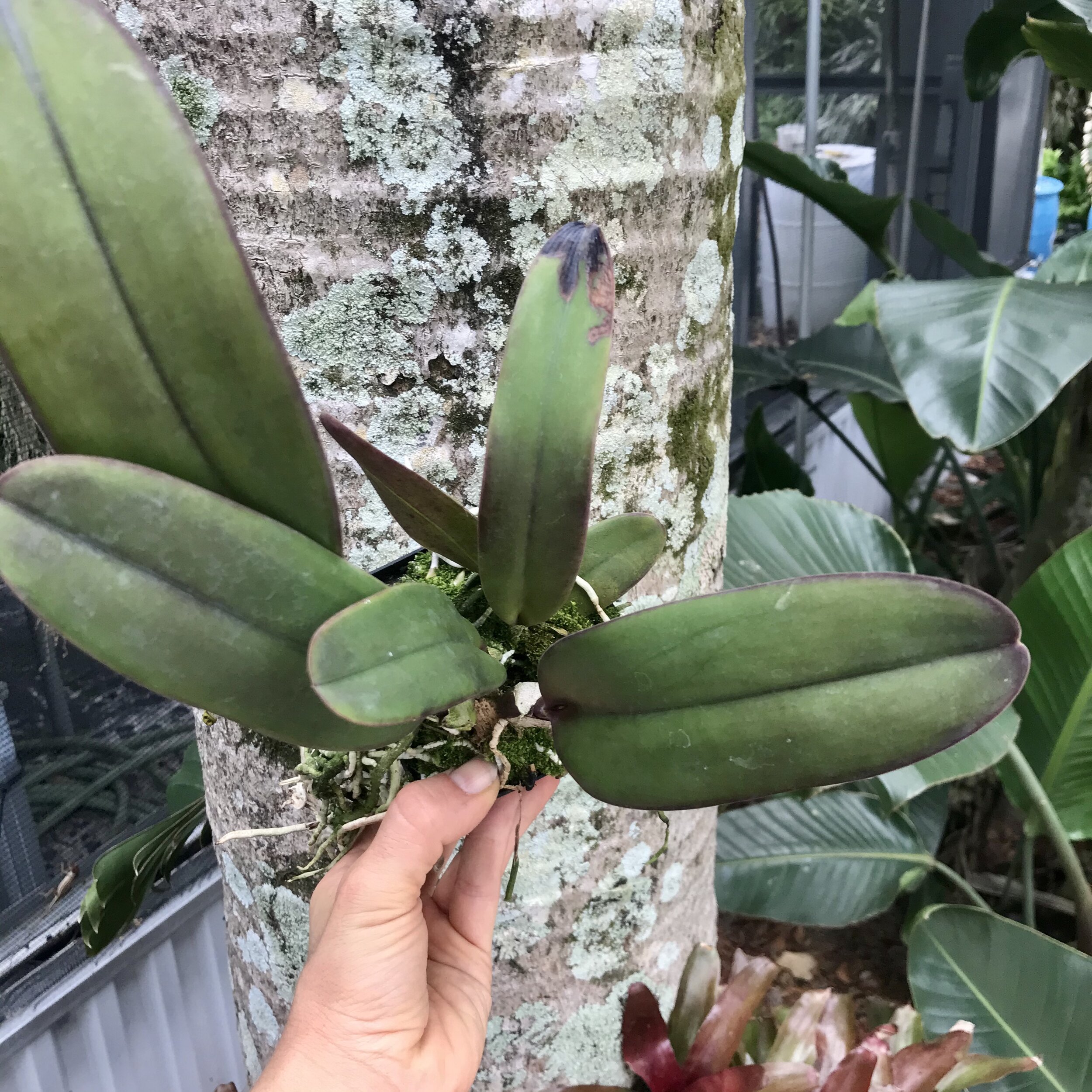 940CC62A-F8AE-4326-B782-3E89921C5BD7