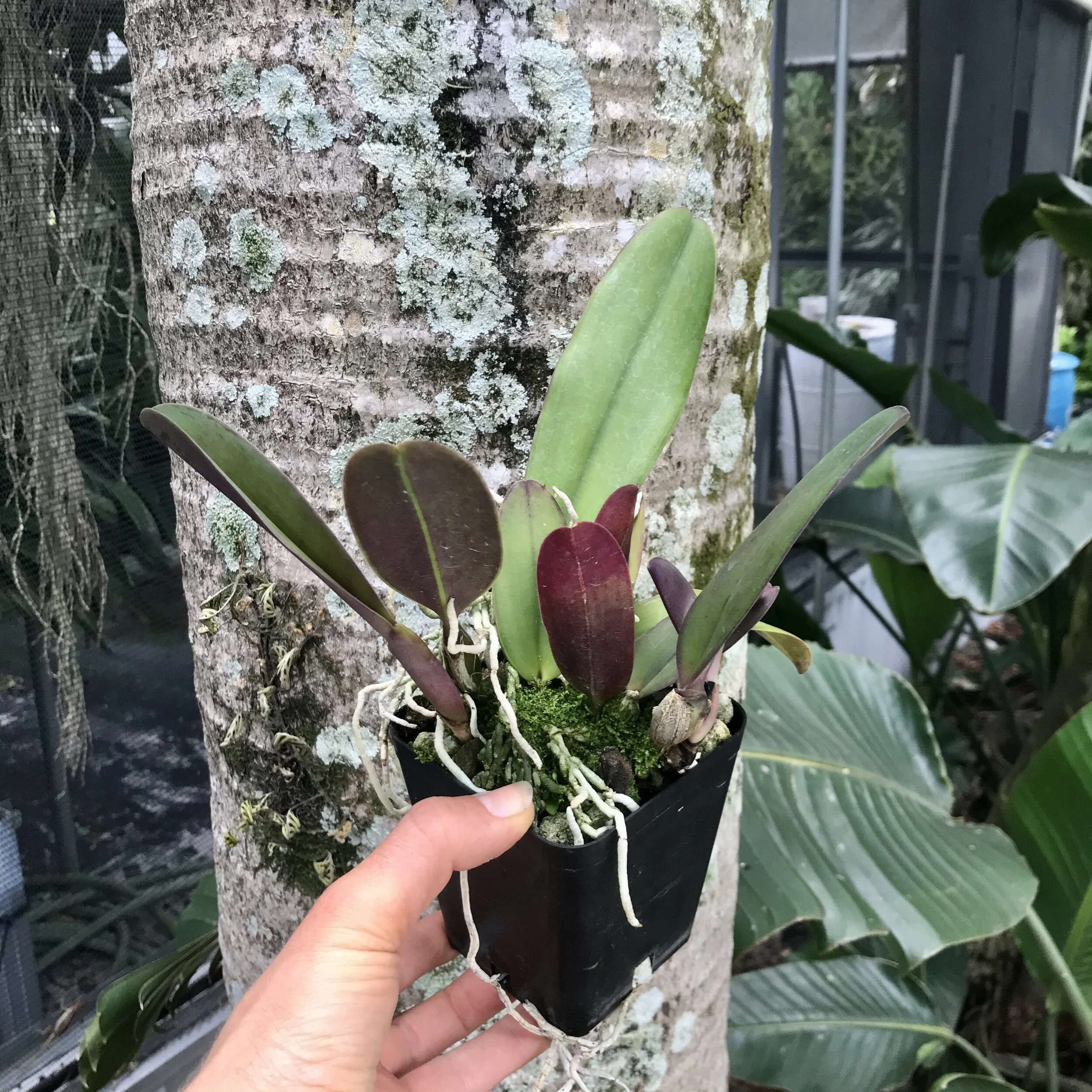 CC20B8C8-34E3-43D0-94D6-FA4B2946A773