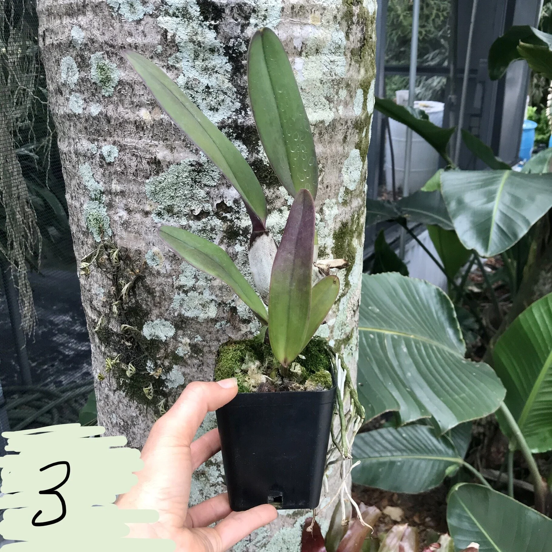 F2B8669A-5CF4-4CAC-BB27-7AA1E8EDF34A