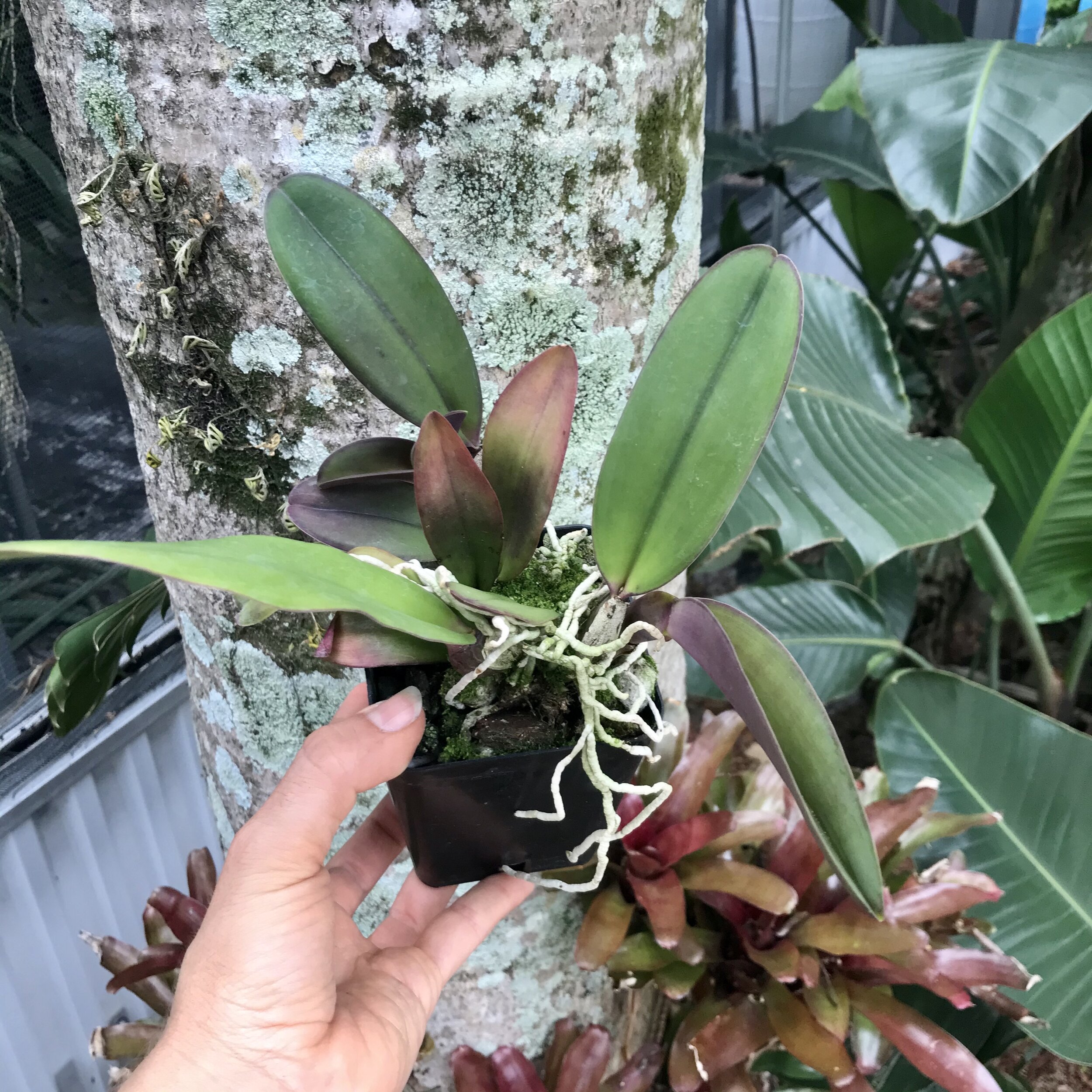 8A91A3C1-50CE-4BBD-844C-EC033A9479A8