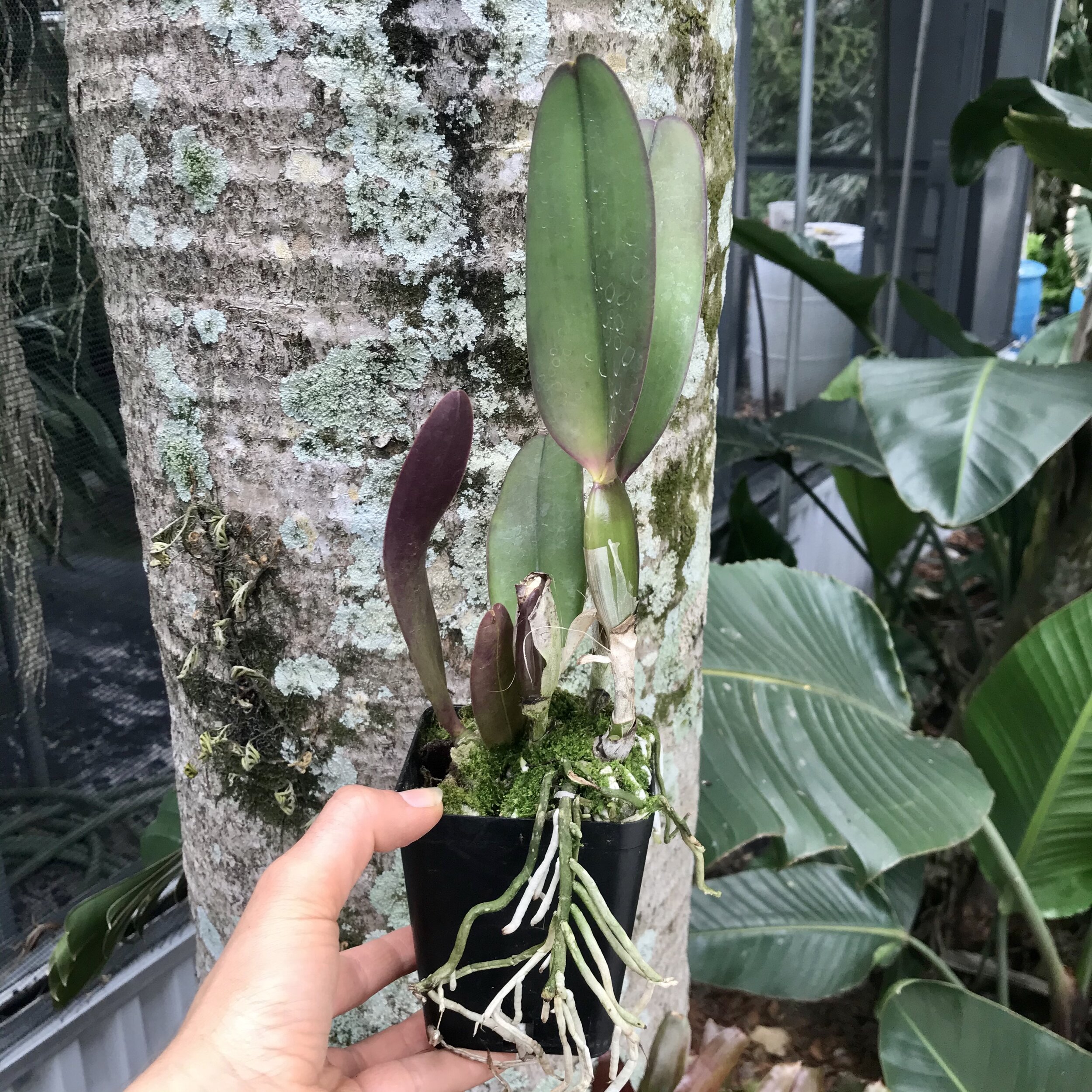 EBF48B89-D2E7-4610-BDA3-3AFA8627C14E