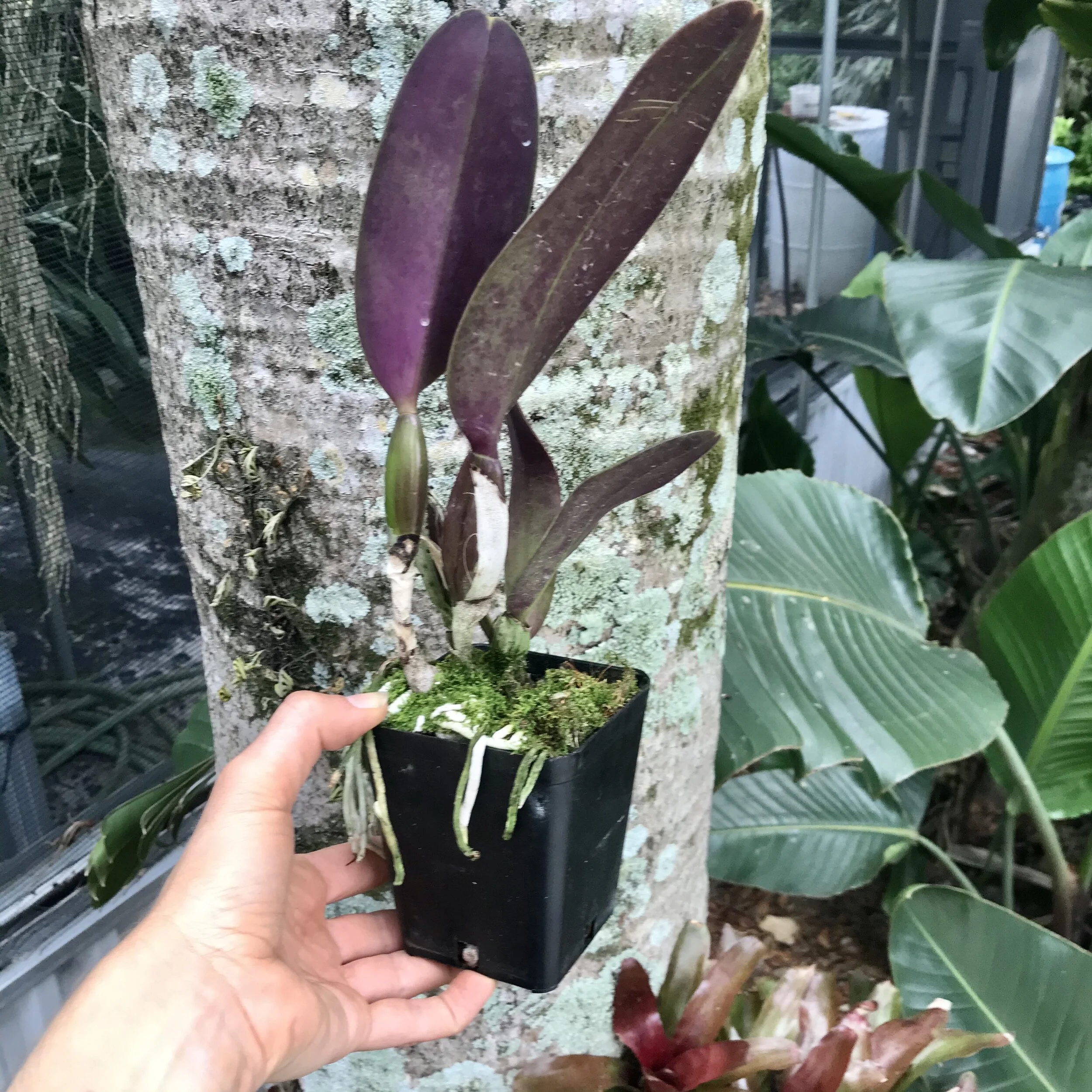 DBD20838-5449-4D4B-B05D-2086CB0615F9