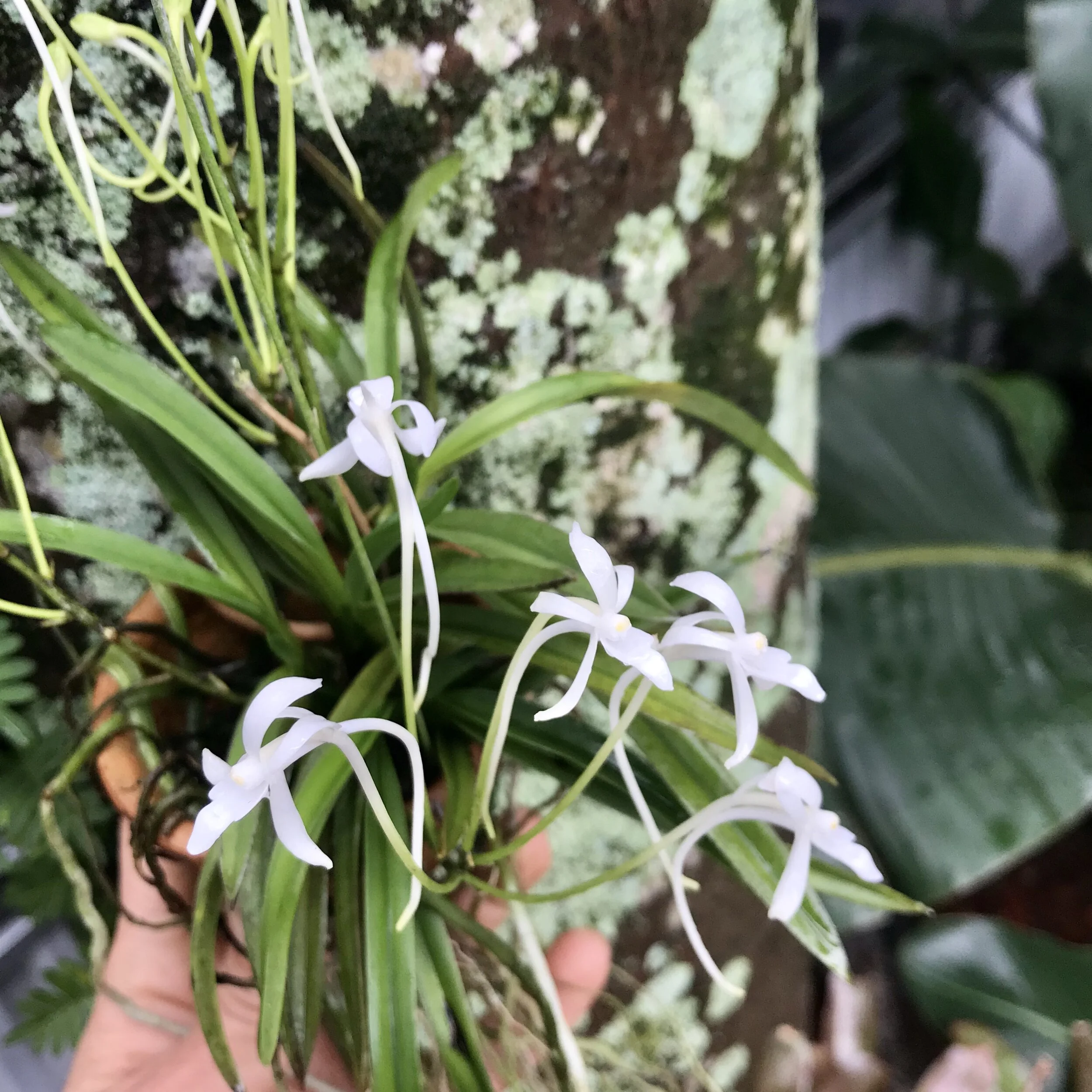 1634C331-CF3F-4EB3-89C4-D2F811CFE9BB