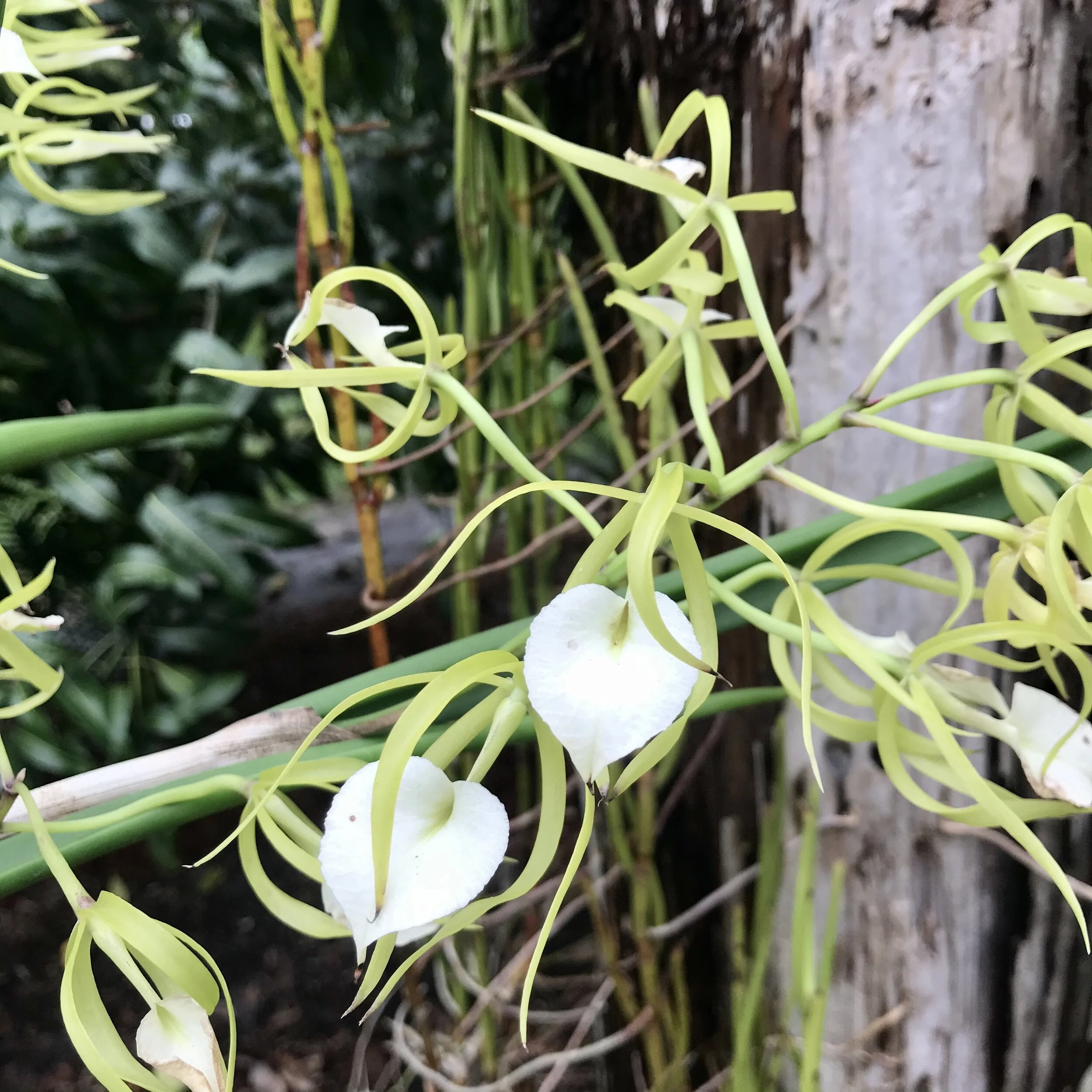 8D8DFC48-B369-4F5E-BC43-AC947927F241