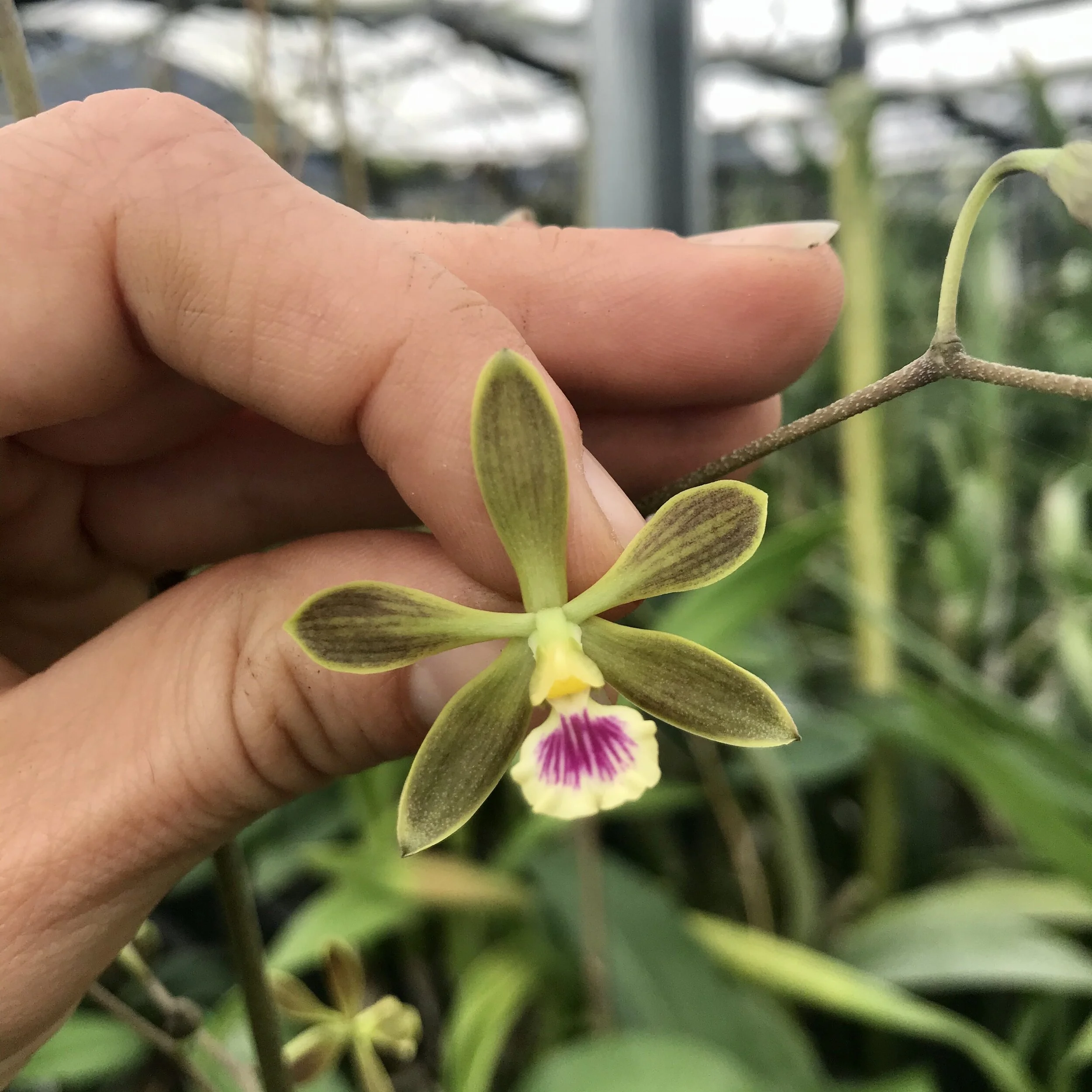 816E4043-D2B2-4F13-81F5-2910FE331513