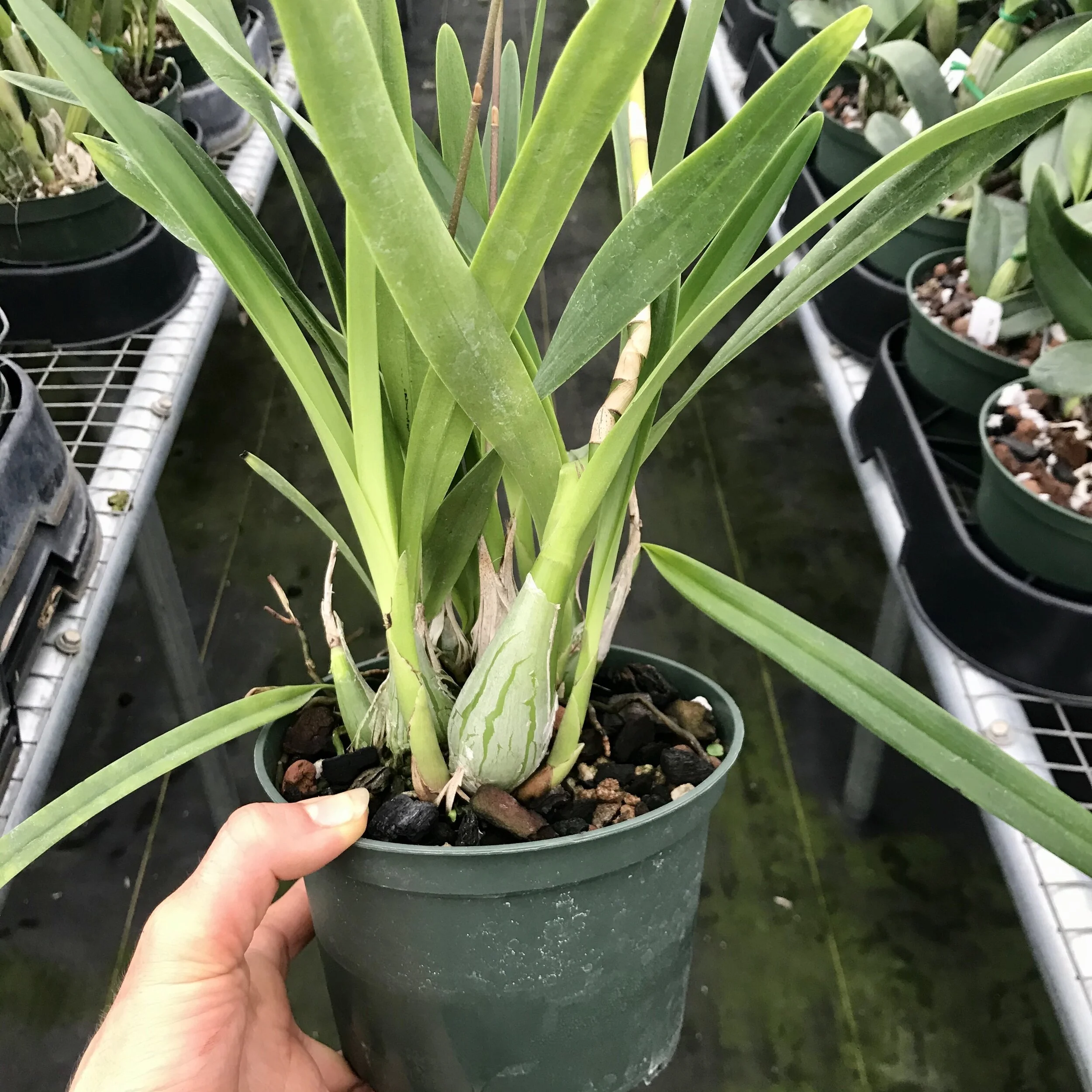 E663EFB4-7ACD-4FA6-B7B8-F45F66D7BAAF