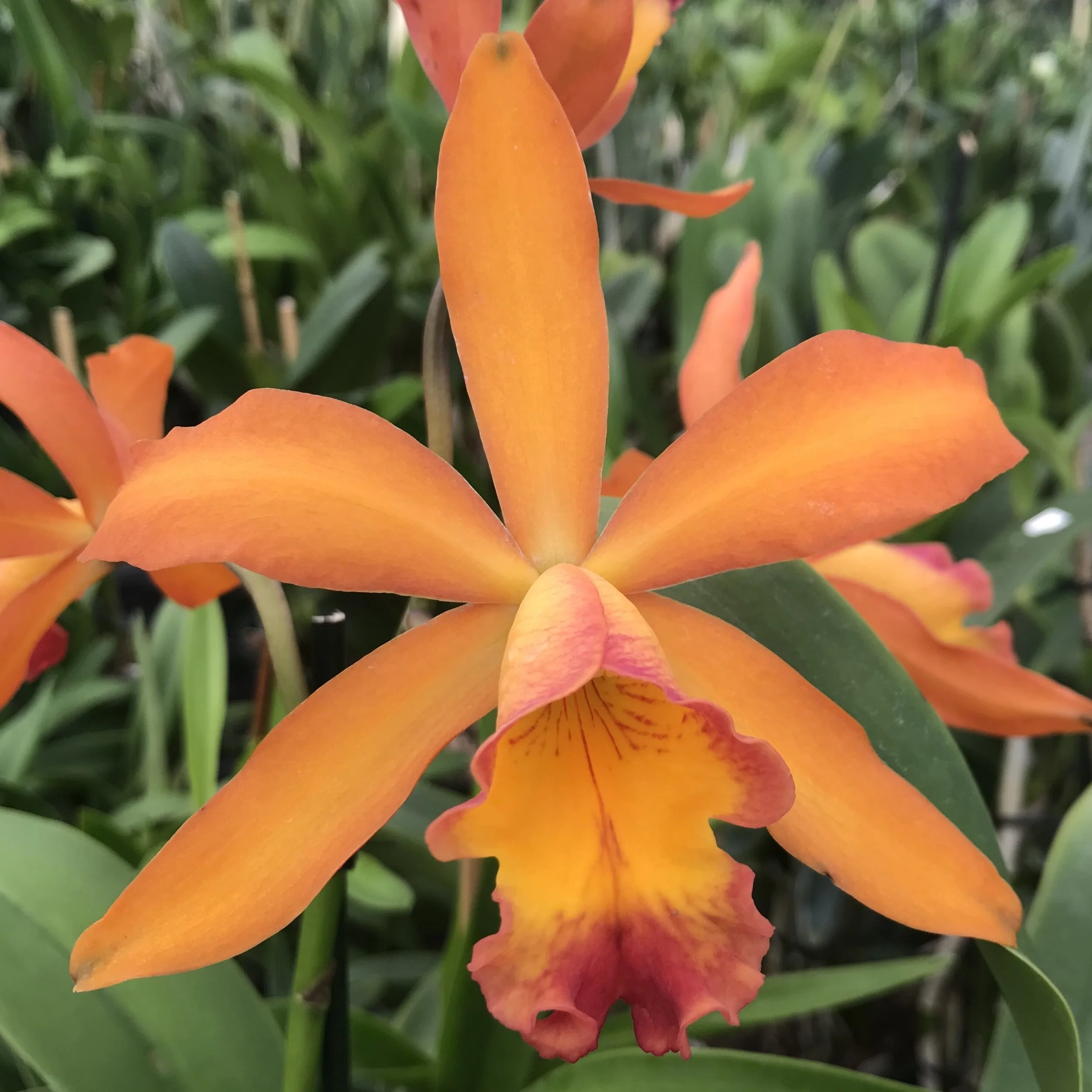 59F0741F-1314-41B3-8718-DA0469EF6F26