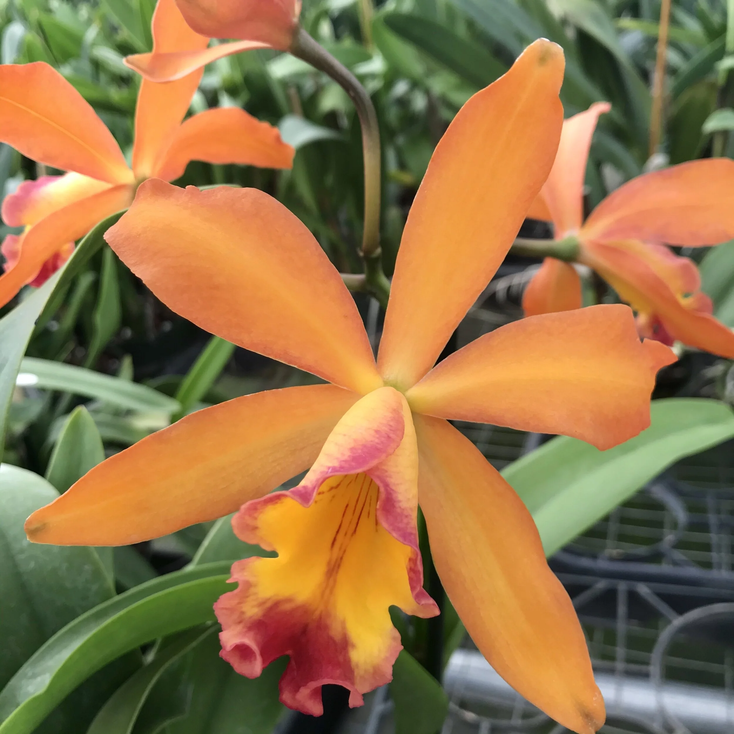 302FAACE-478E-4BC4-8EB3-496A8BFF7B39