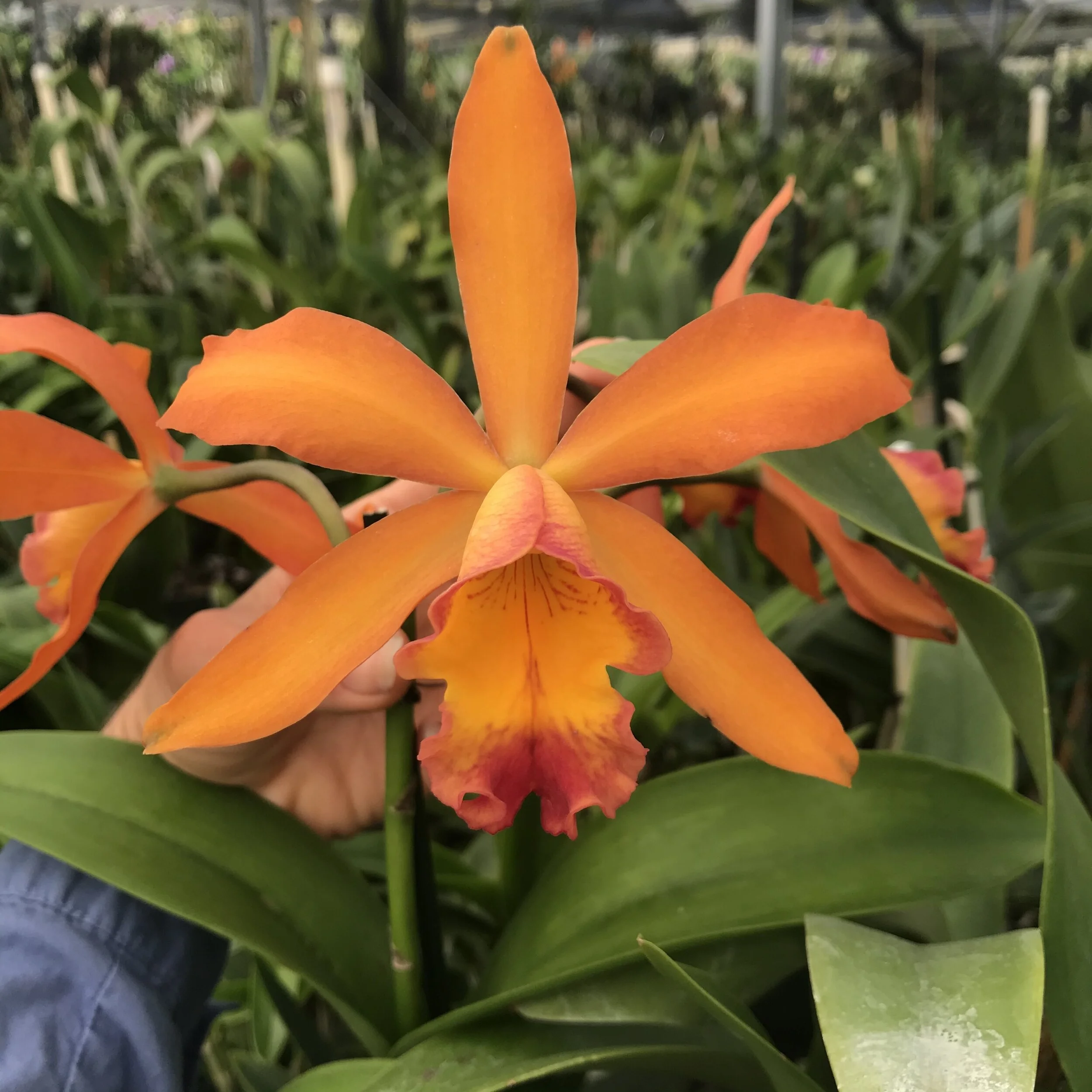 184EB5BC-EA02-4138-9E59-3AC157CED141