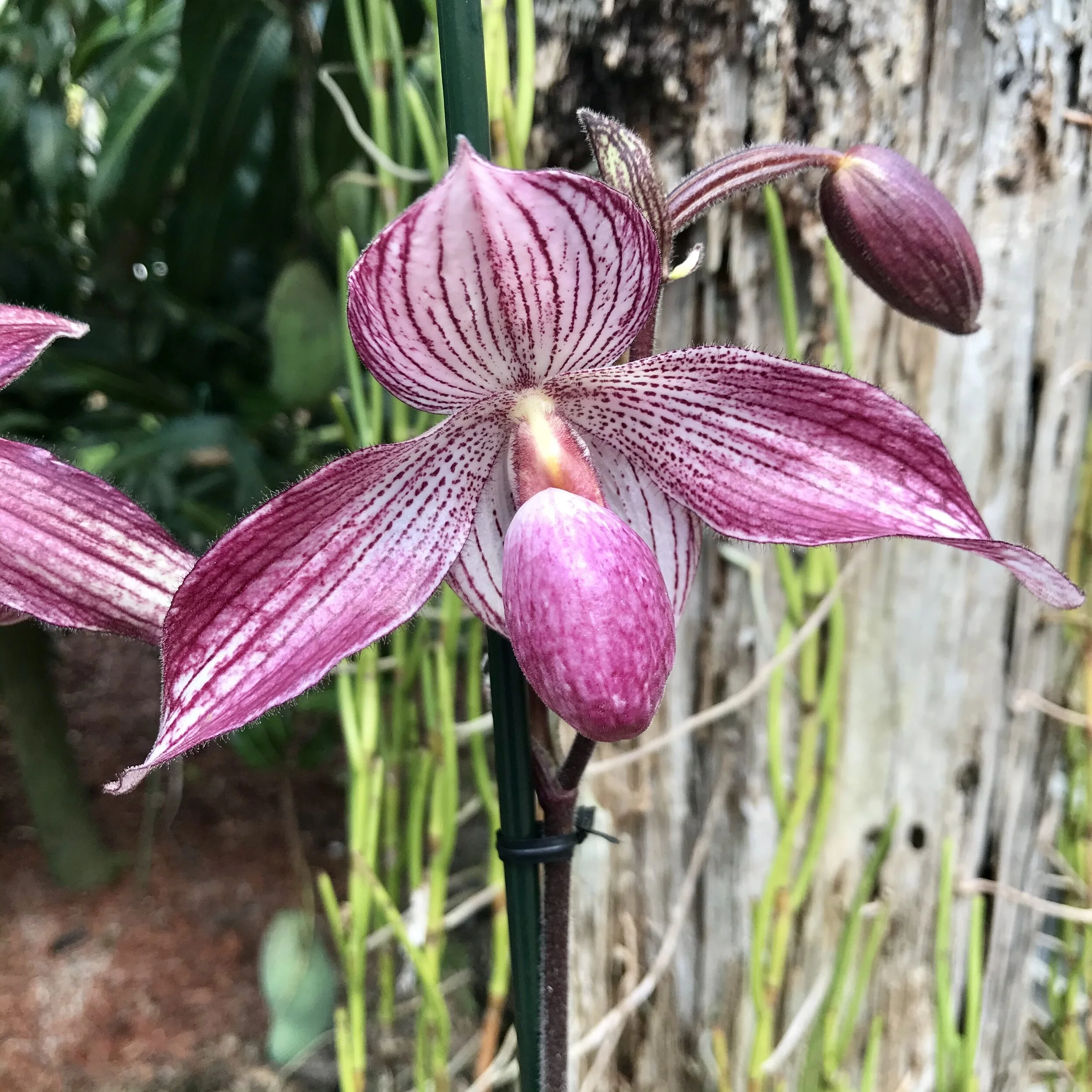 B1F08FDF-AE87-44C3-AA7B-2C16A2DCF83F