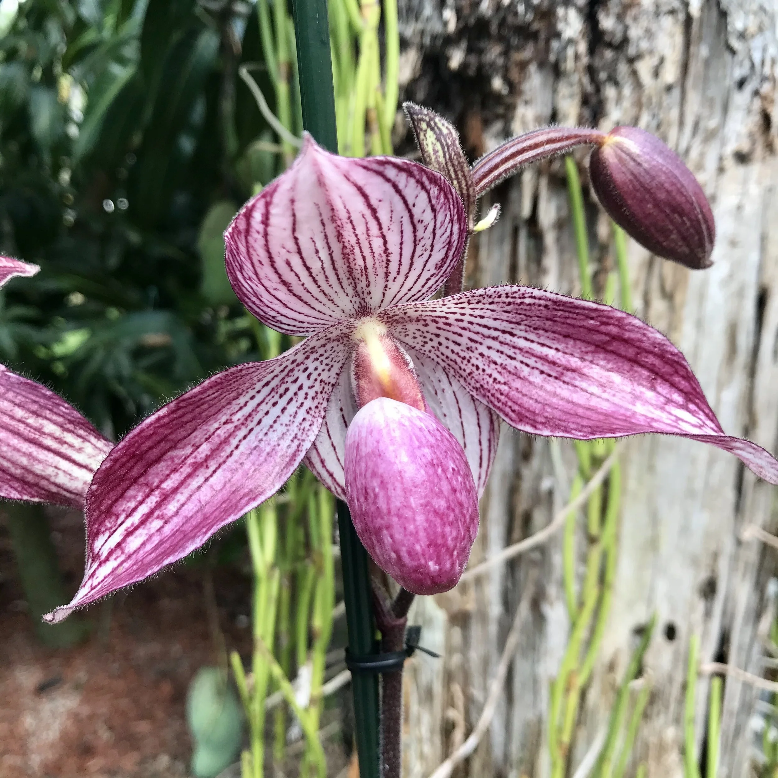 F6291A58-6F03-4EFD-8B7F-A89AF77FEF69