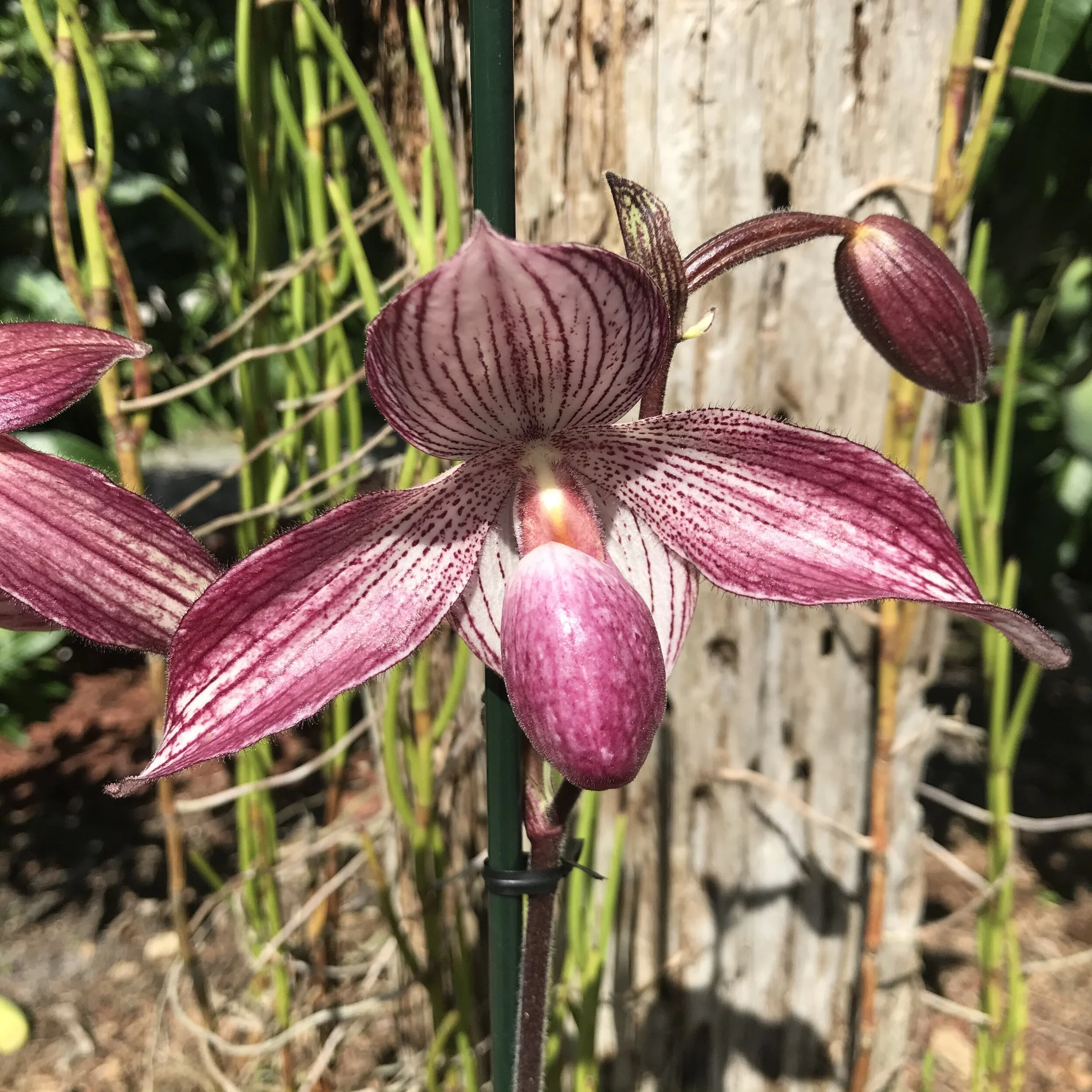 31298521-52ED-4FFD-B470-CDF4DC5C9AA7