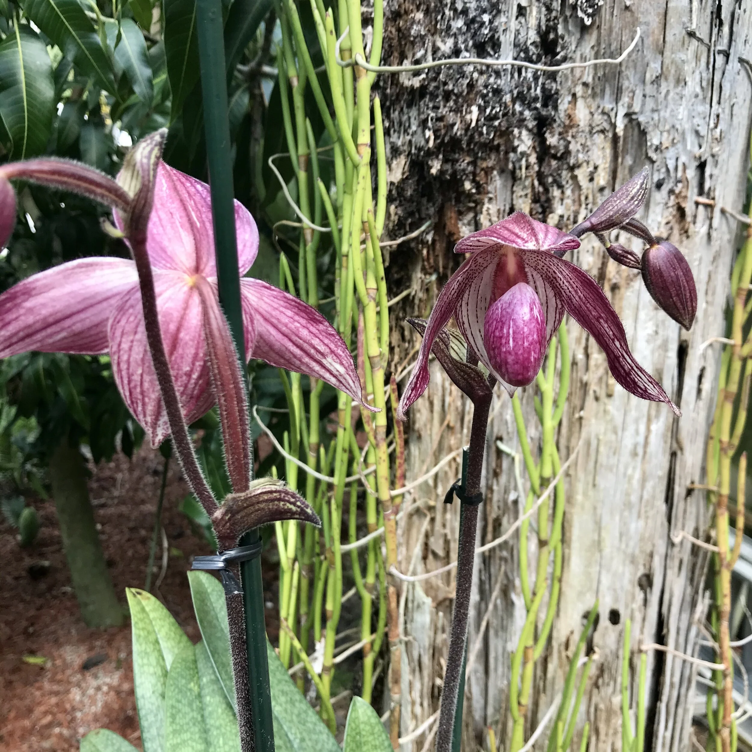 1B9F9684-E259-46D1-B7D9-AD799EE538BD