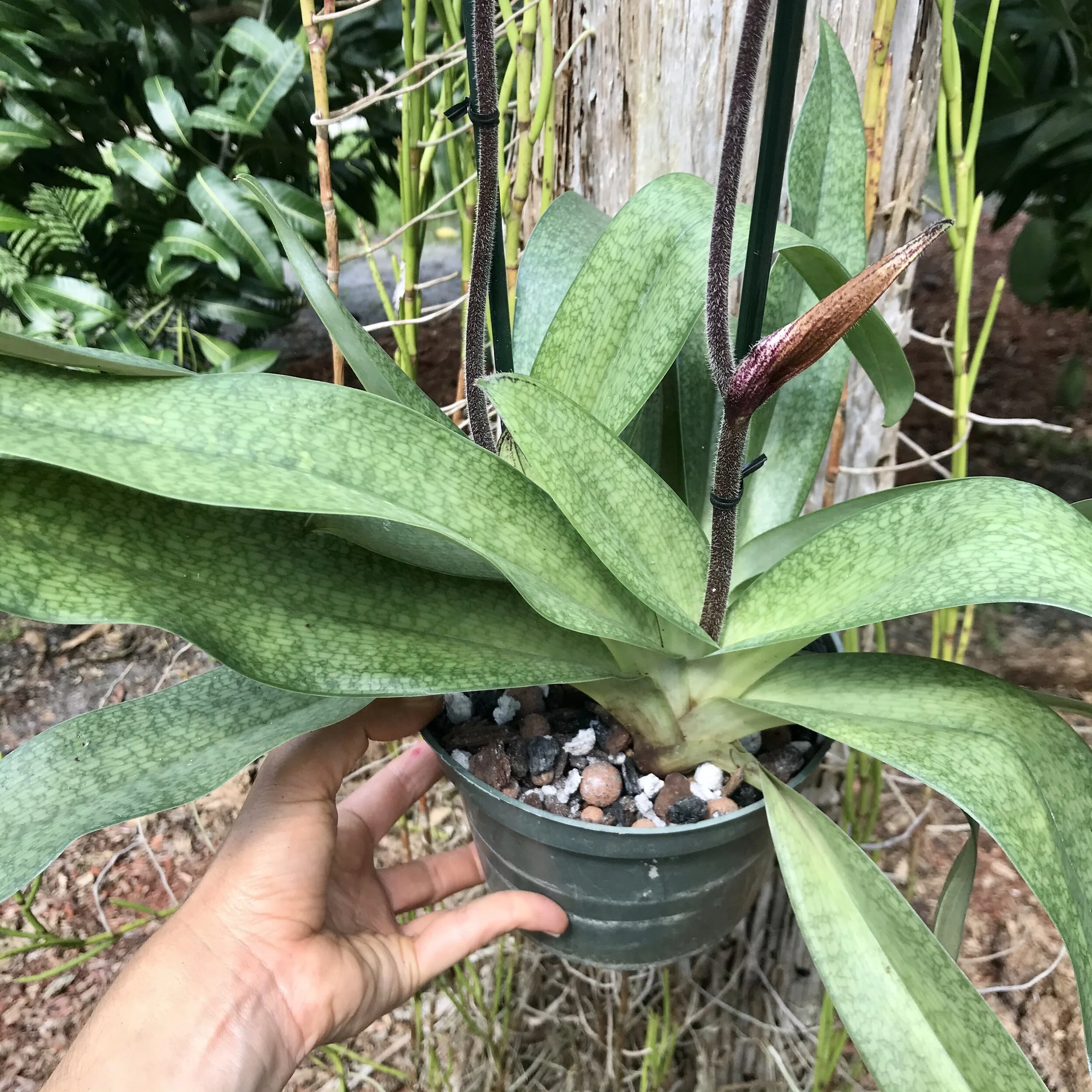 9A531DFA-CB19-44B3-91FC-DAA07FE34EEC