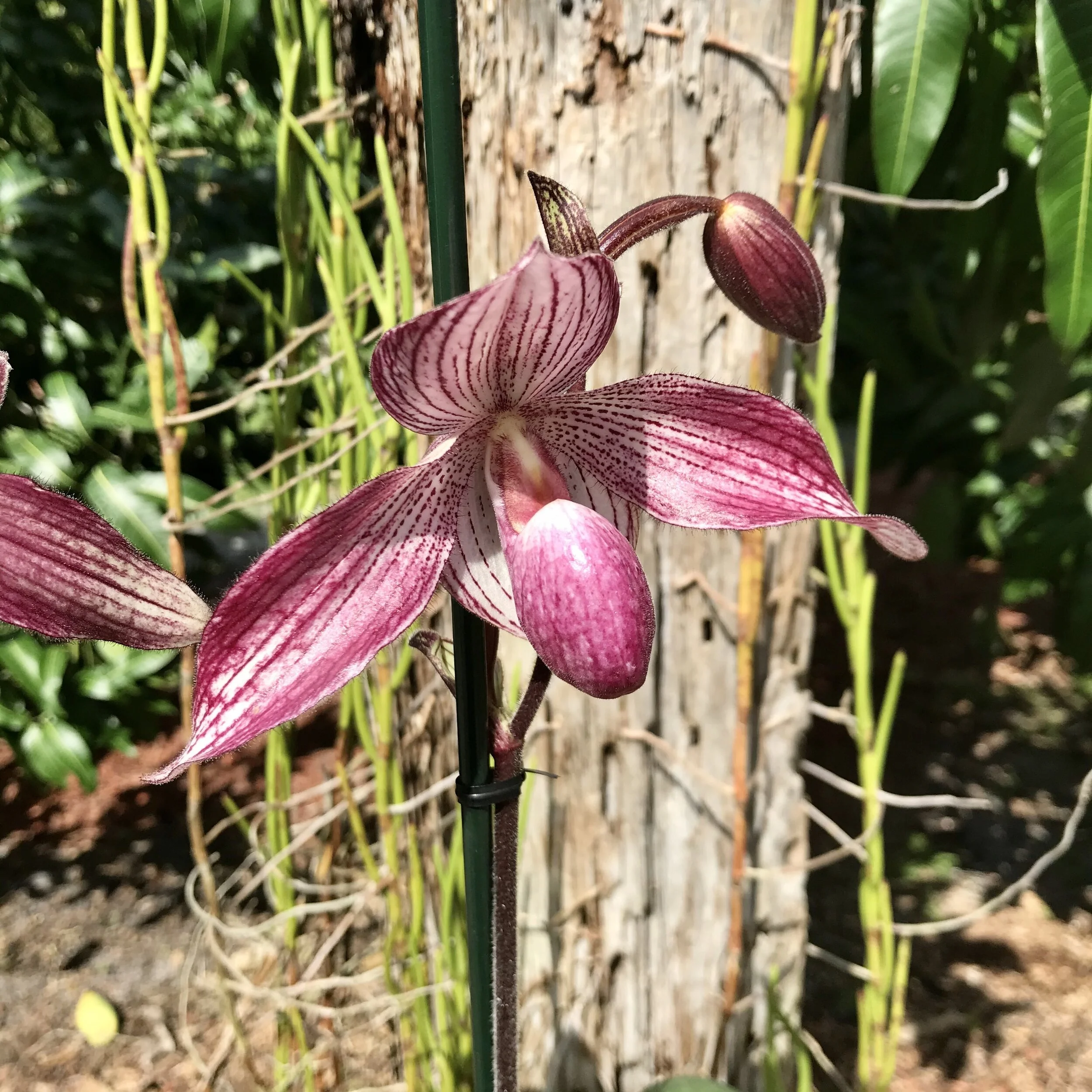 9715432C-F92C-4973-8BE9-51ECA41DD9EA