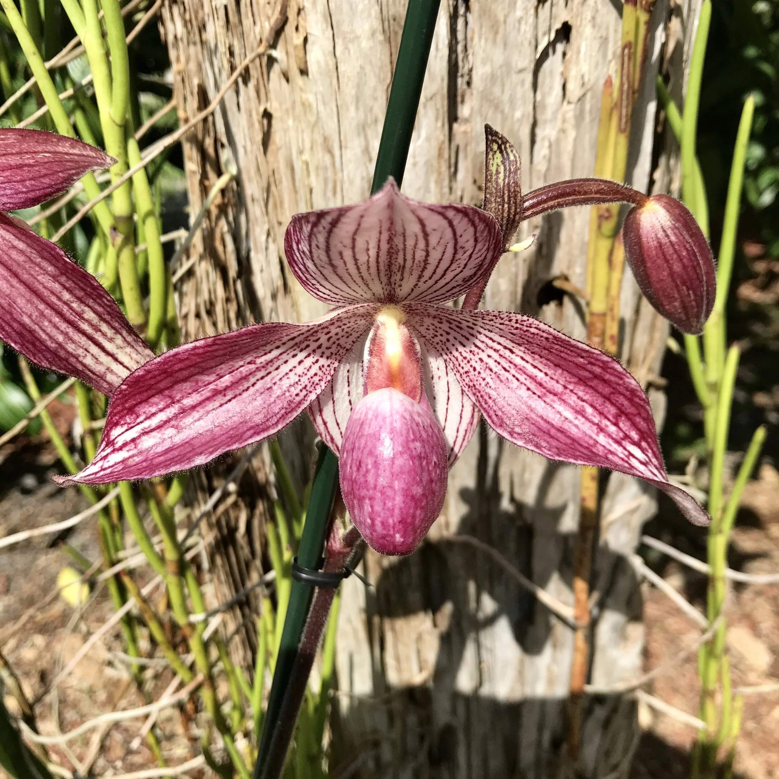 842BA211-FE5C-4F6F-9F55-928A7C1A3CBC