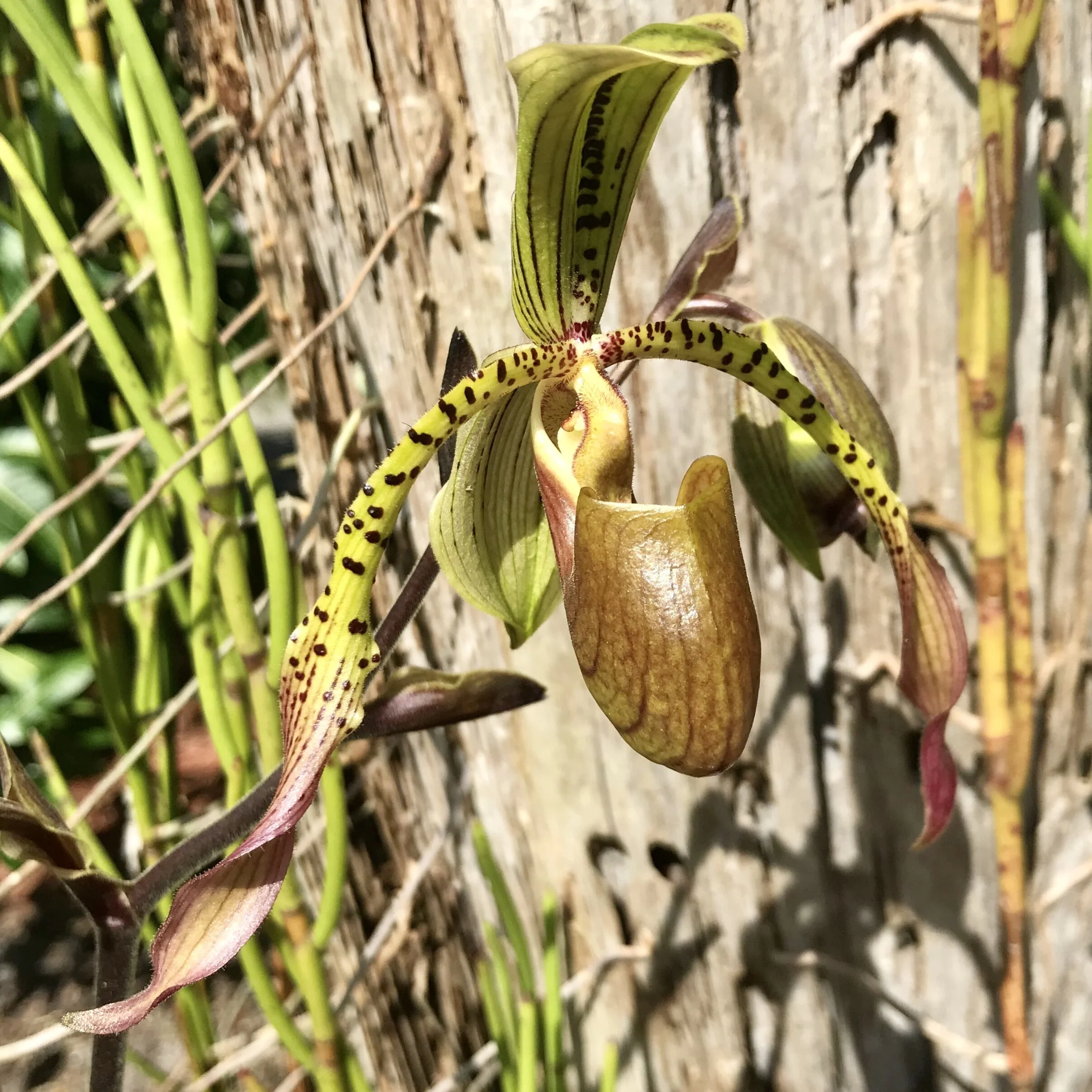 04BF0EDF-59CA-47EF-A162-26F2543466E8