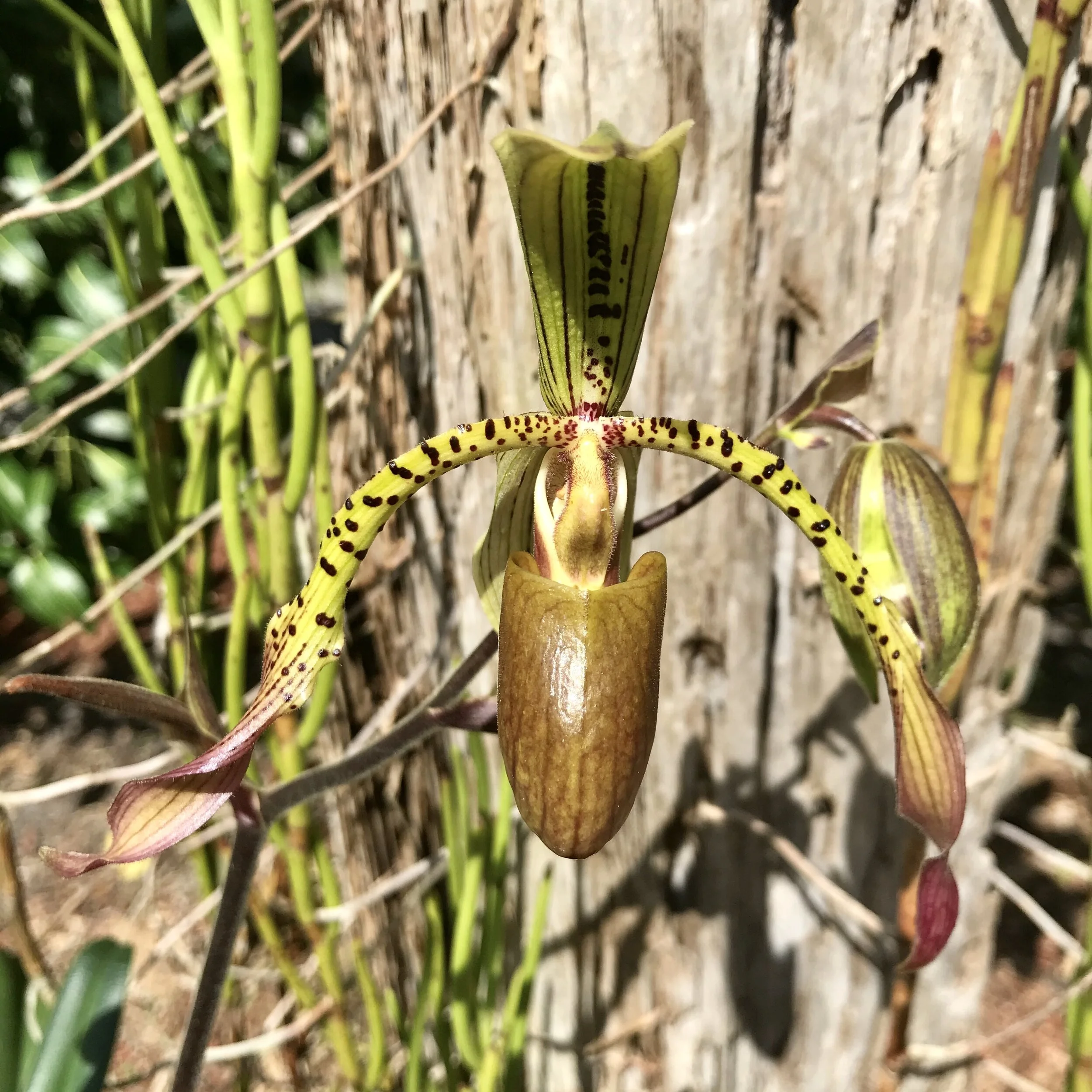 B05FDBF5-F8FD-404A-A6E9-70CE0A8016CD