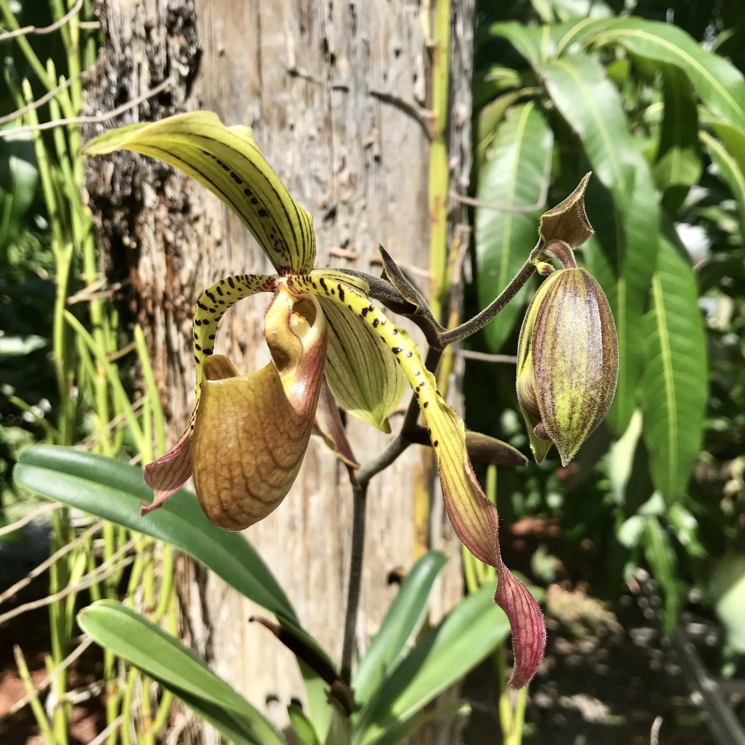 9309A3FC-CB55-4B2B-8228-3CCA2188BD2E