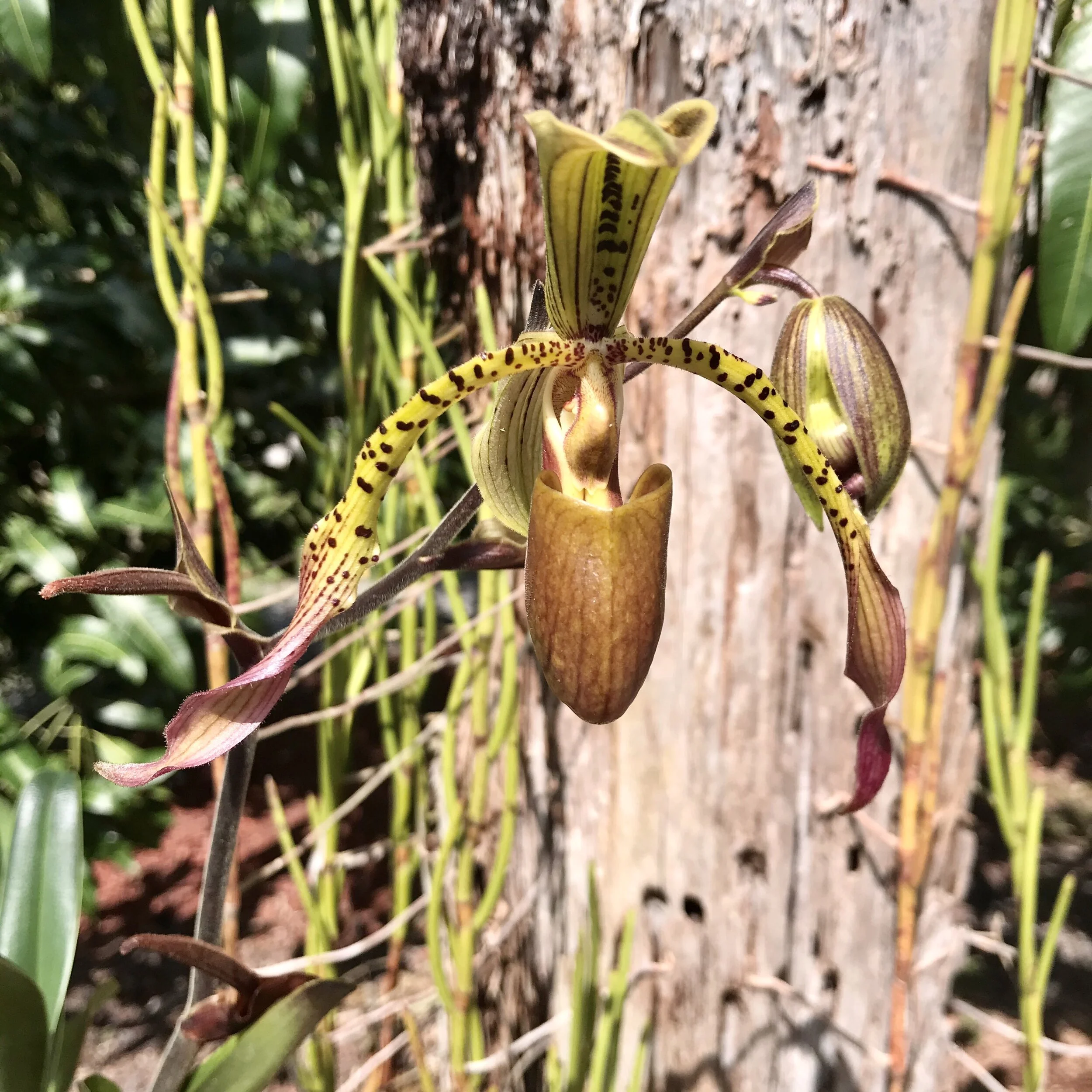 407640AB-4941-4197-846F-3B4805BD5D46