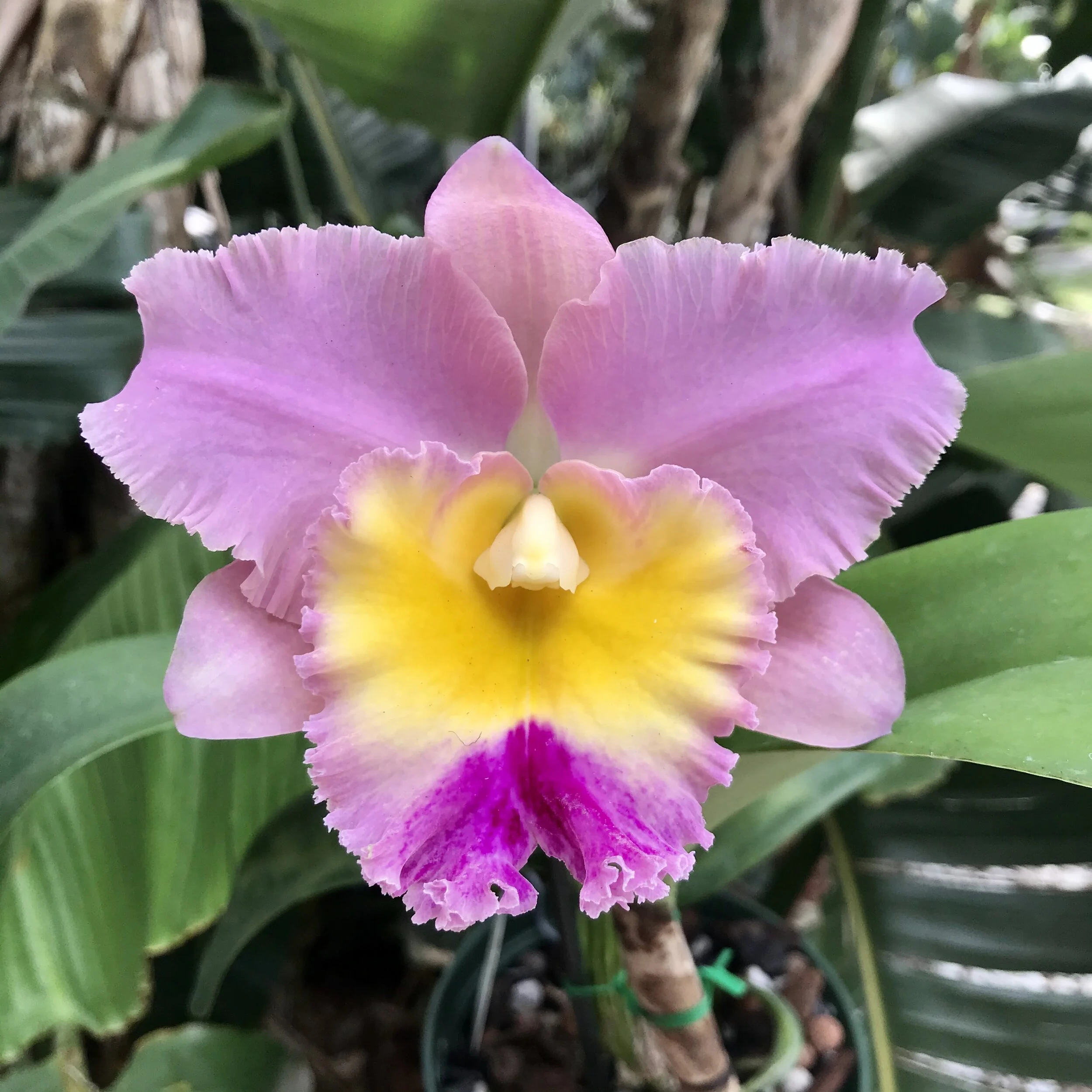 7A4BE279-B26B-4BE2-807B-9B92EAC812DB