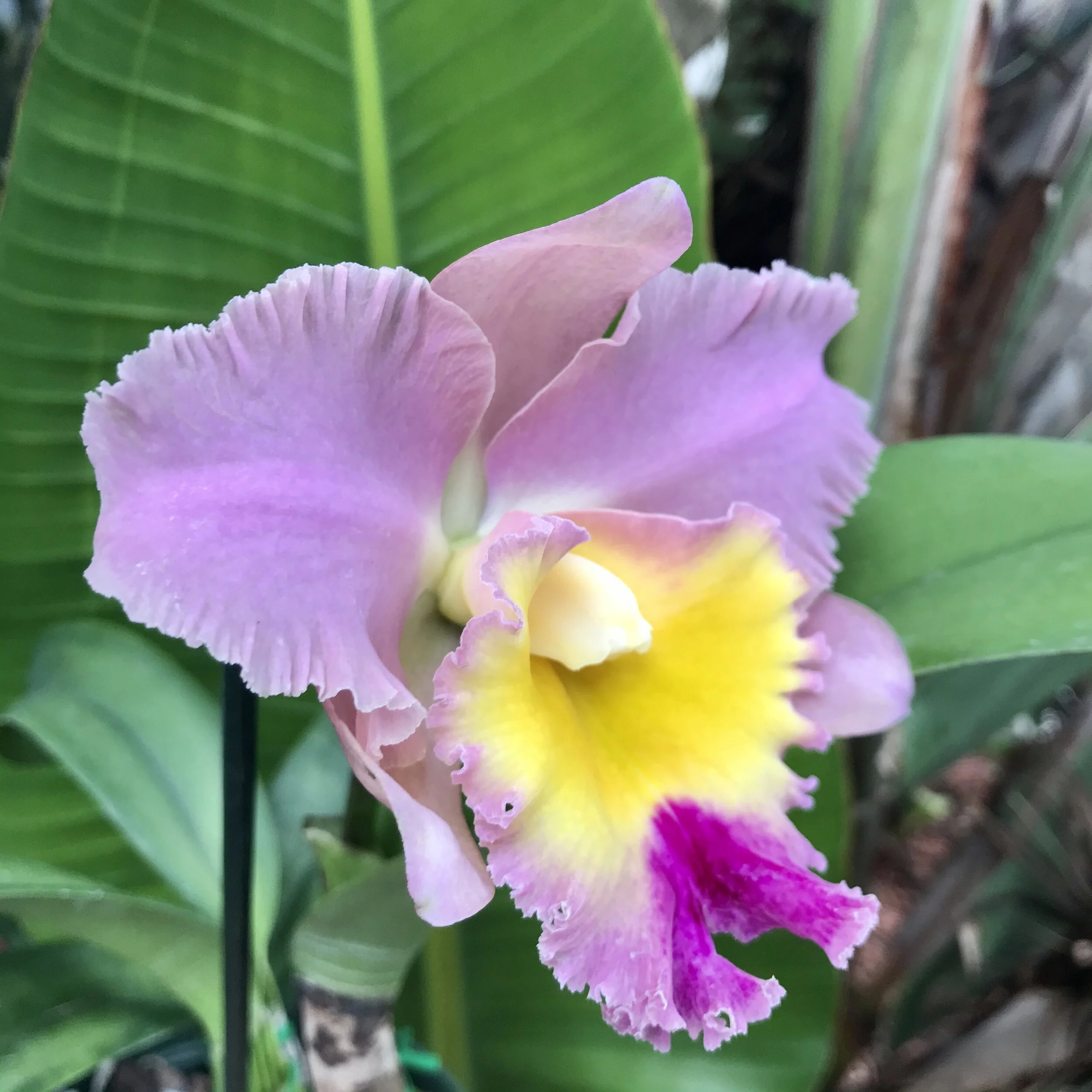 D67551CA-9B6C-4254-A1F7-4CBB9052E473