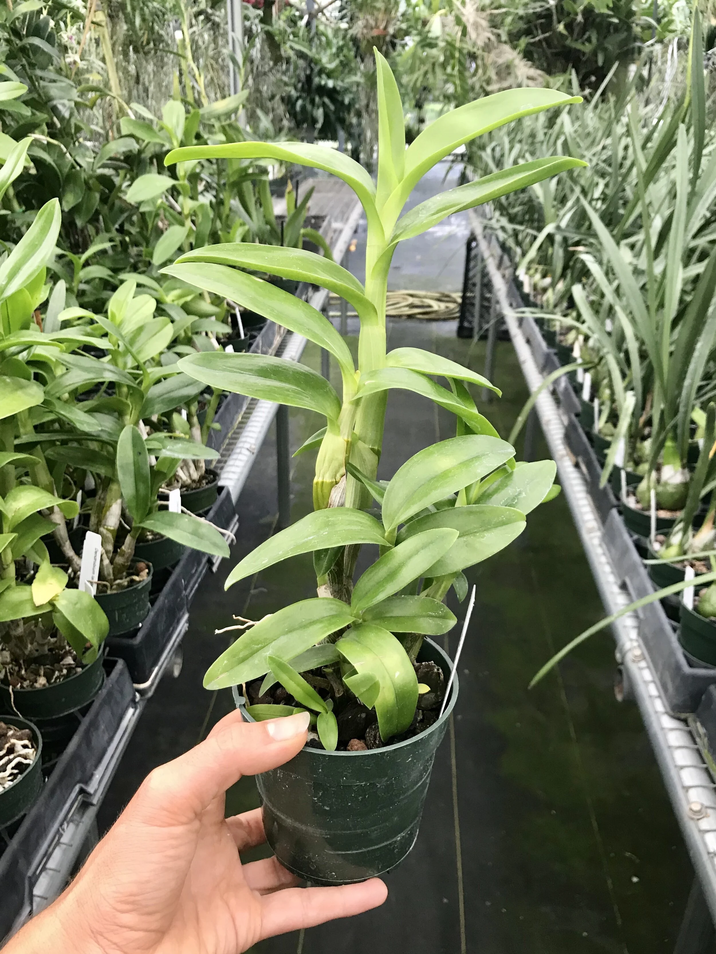 A14278DF-0CAA-41DB-92E3-5F3AC7F3455F