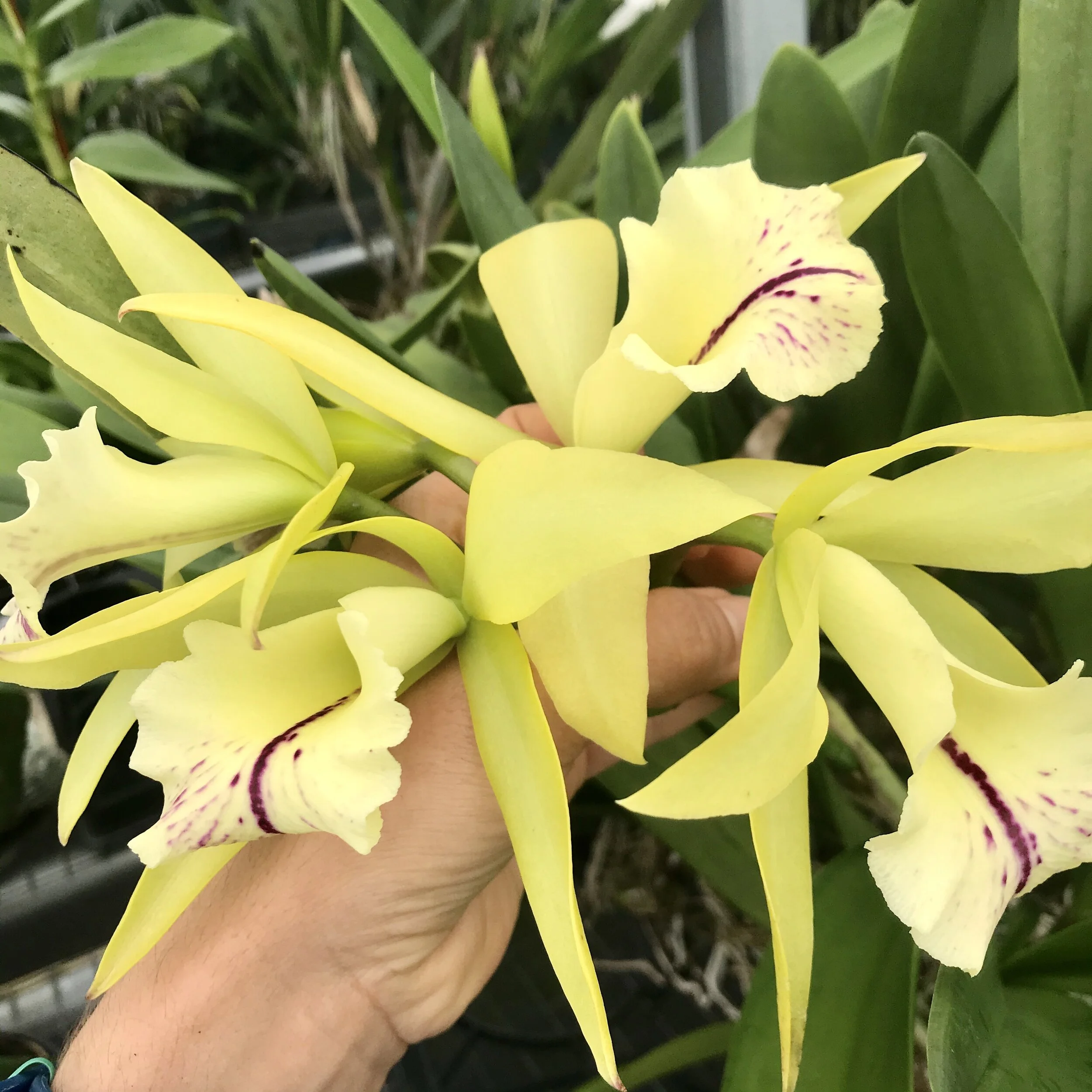 CC21314D-EB3C-4AE8-B231-06B01A7E4394